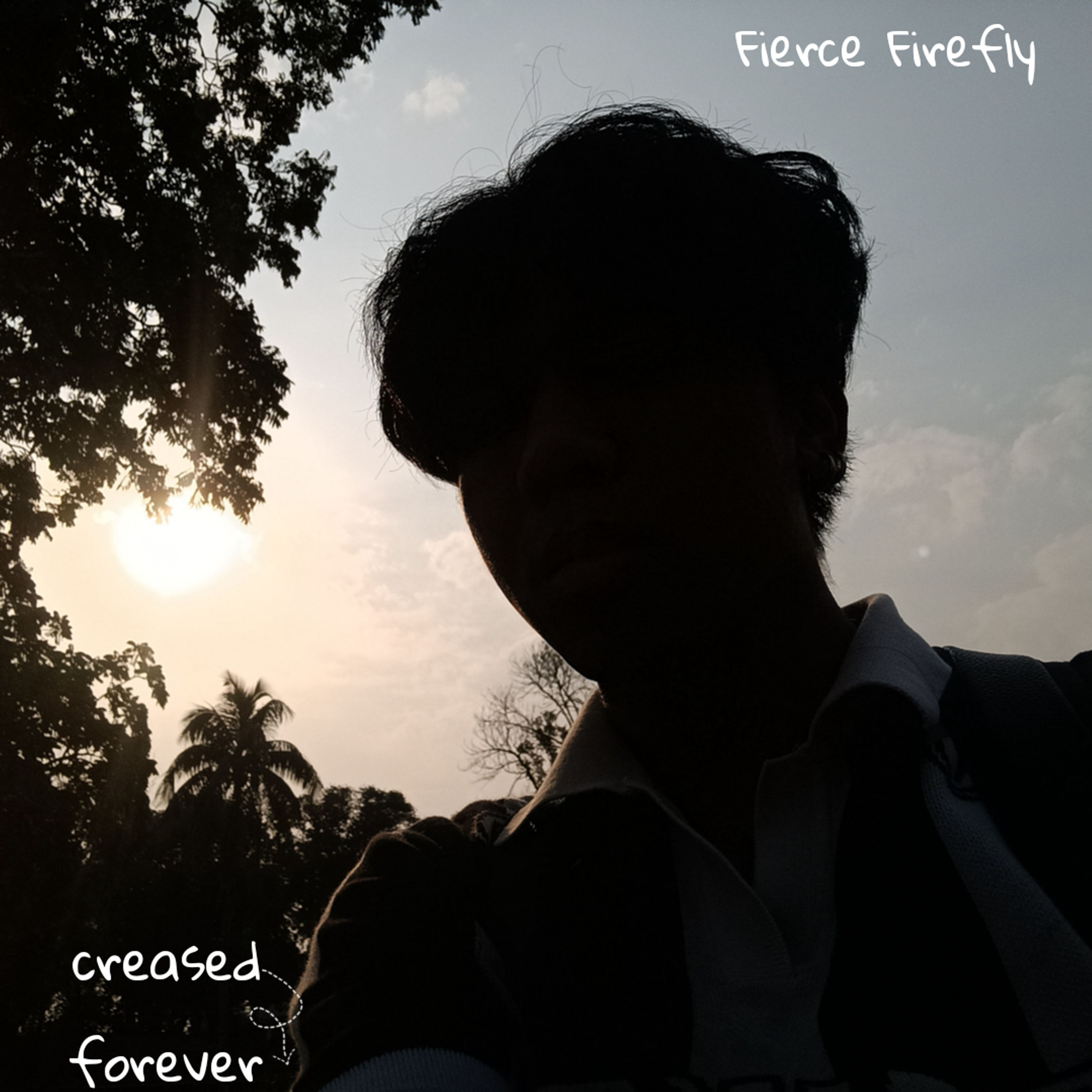 Creased Forever artwork