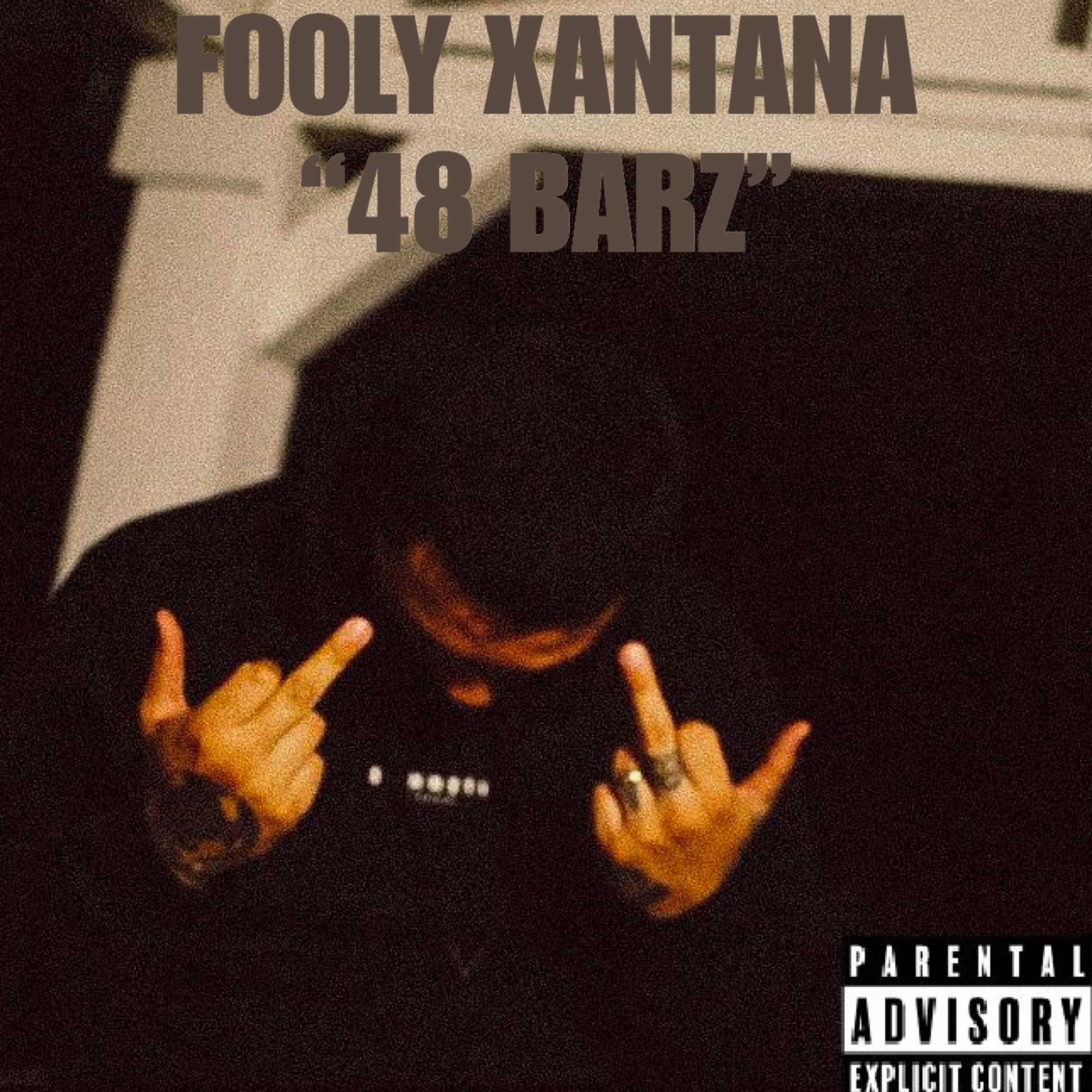 48 Barz artwork