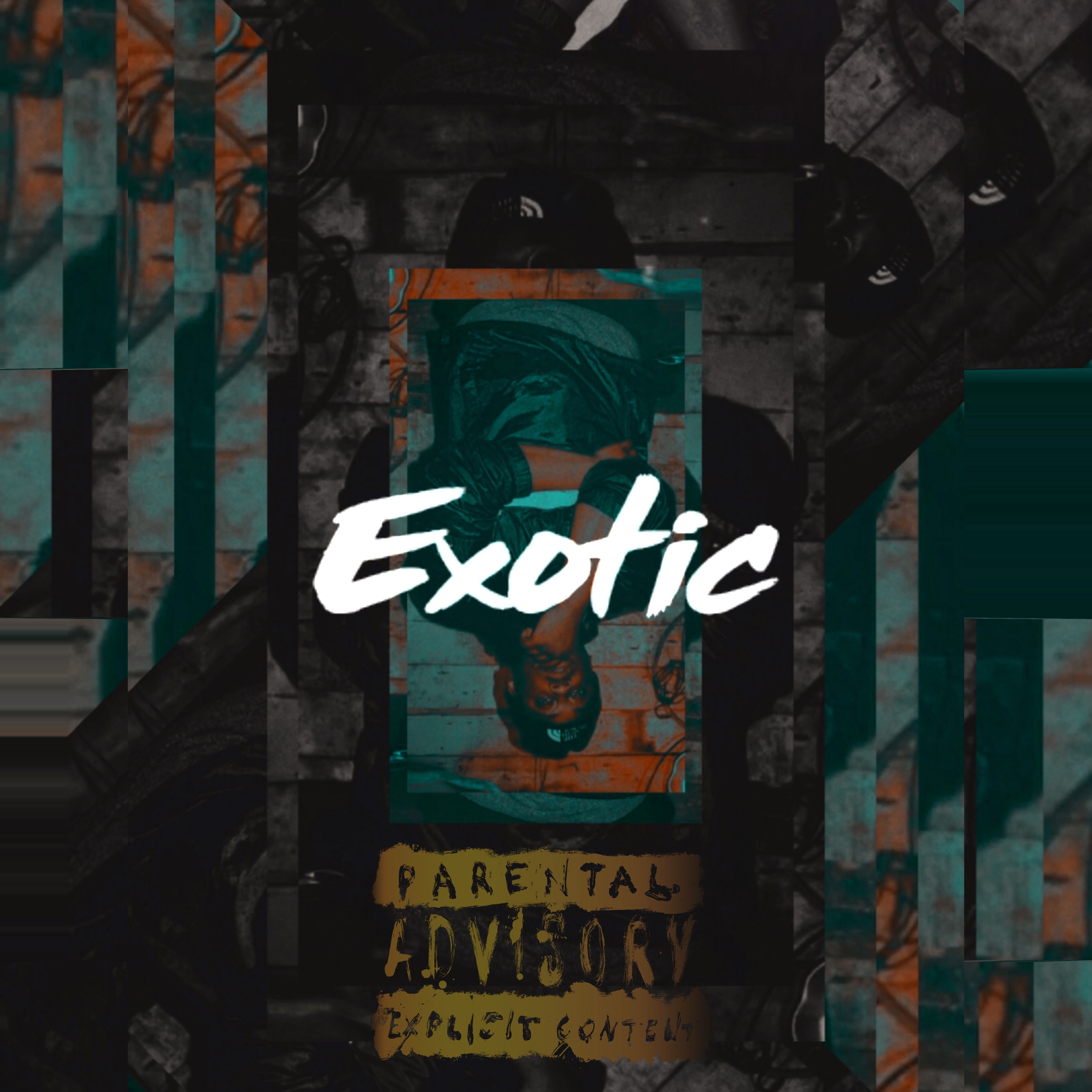EXOTIC artwork