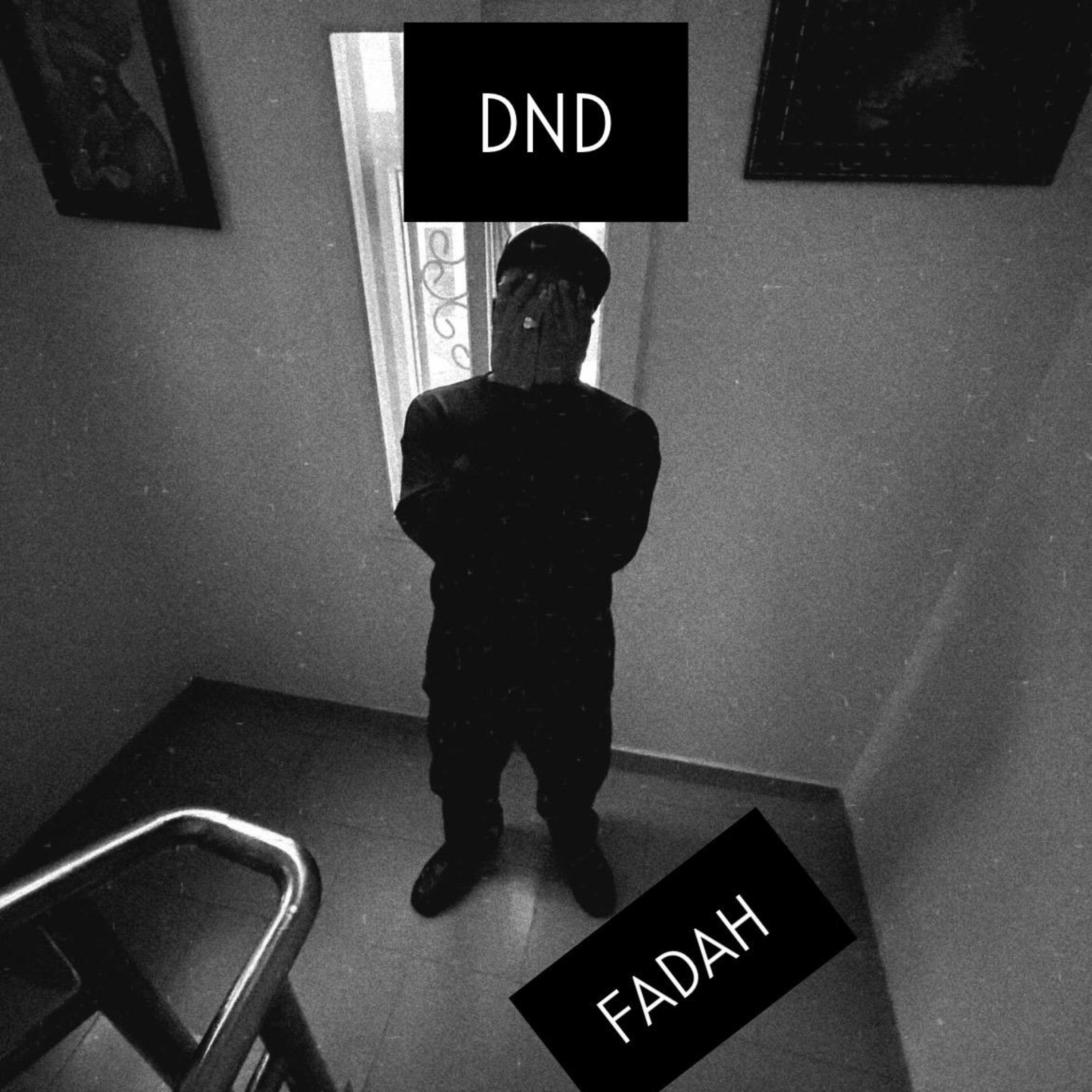 DND by Caleb Alaba cover art