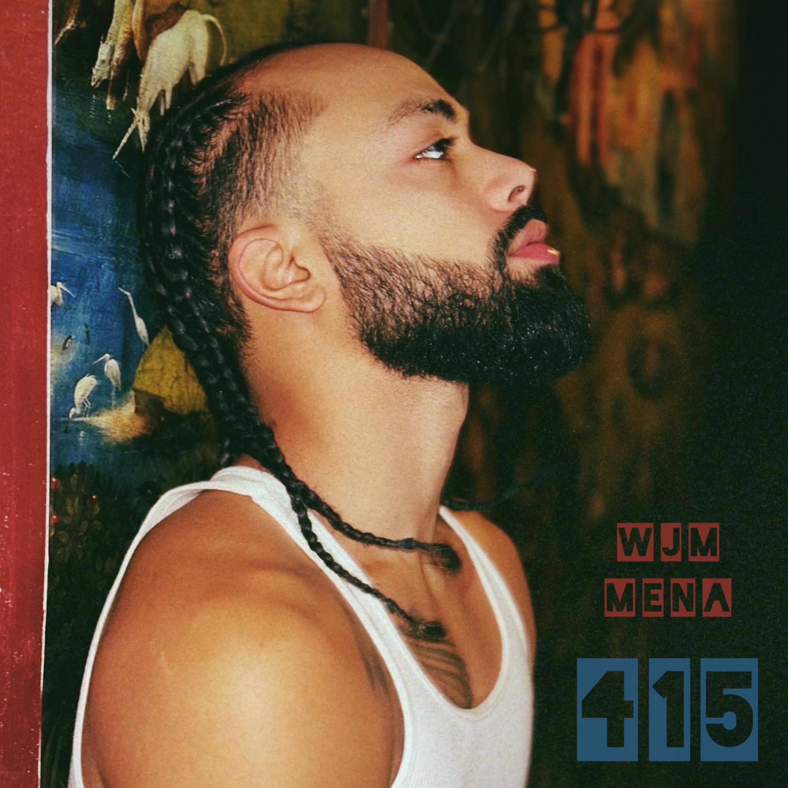 415 by WJM MENA cover art
