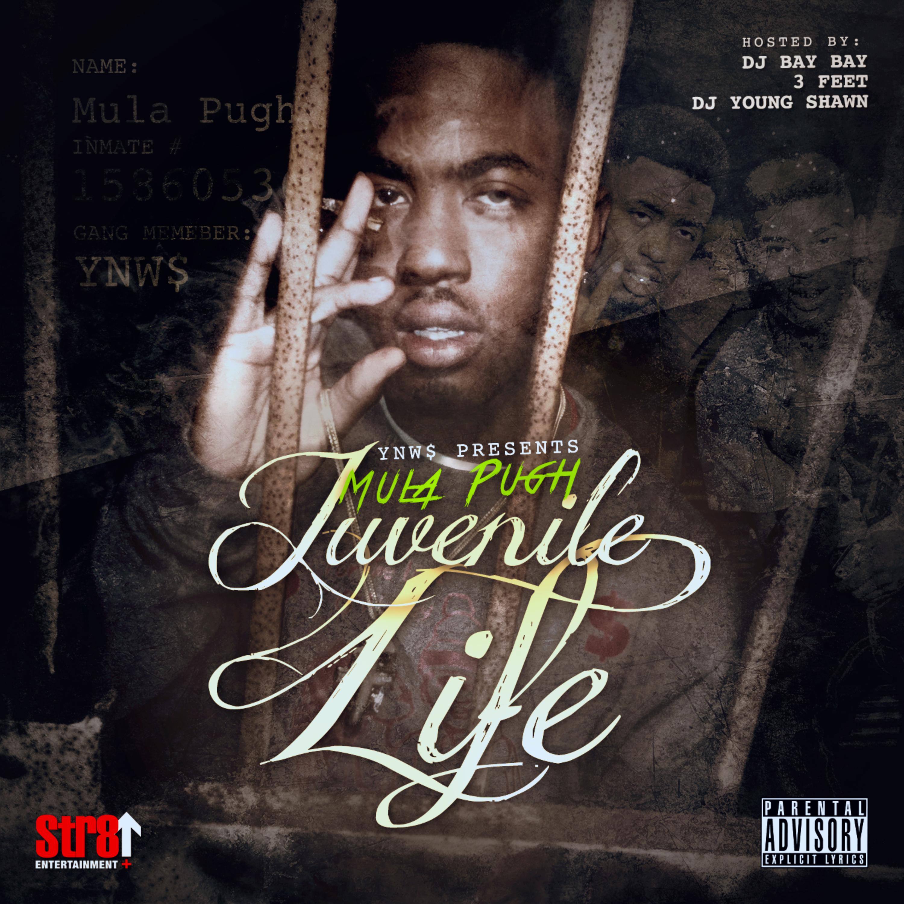 Juvenile Life artwork