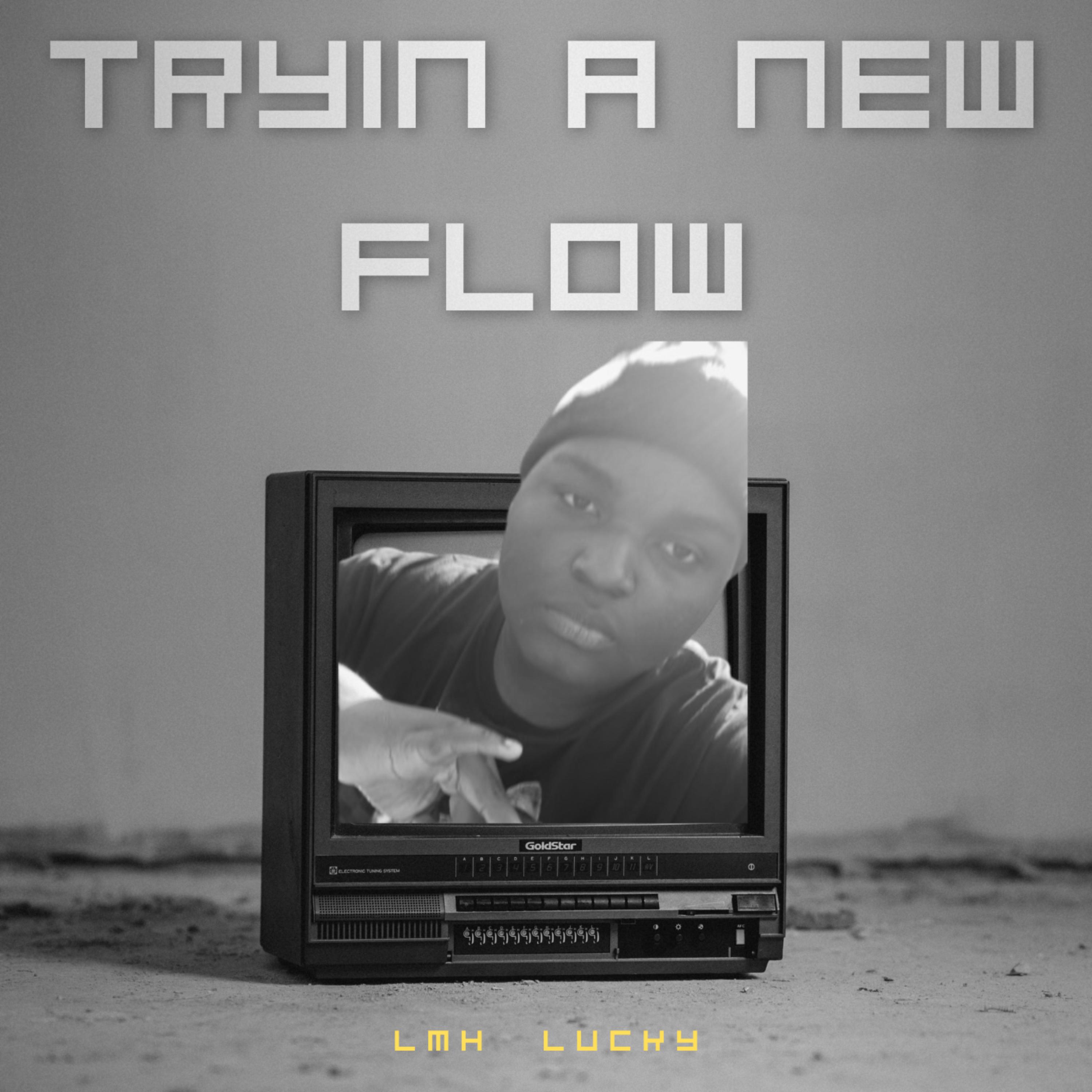 Tryin A New Flow artwork