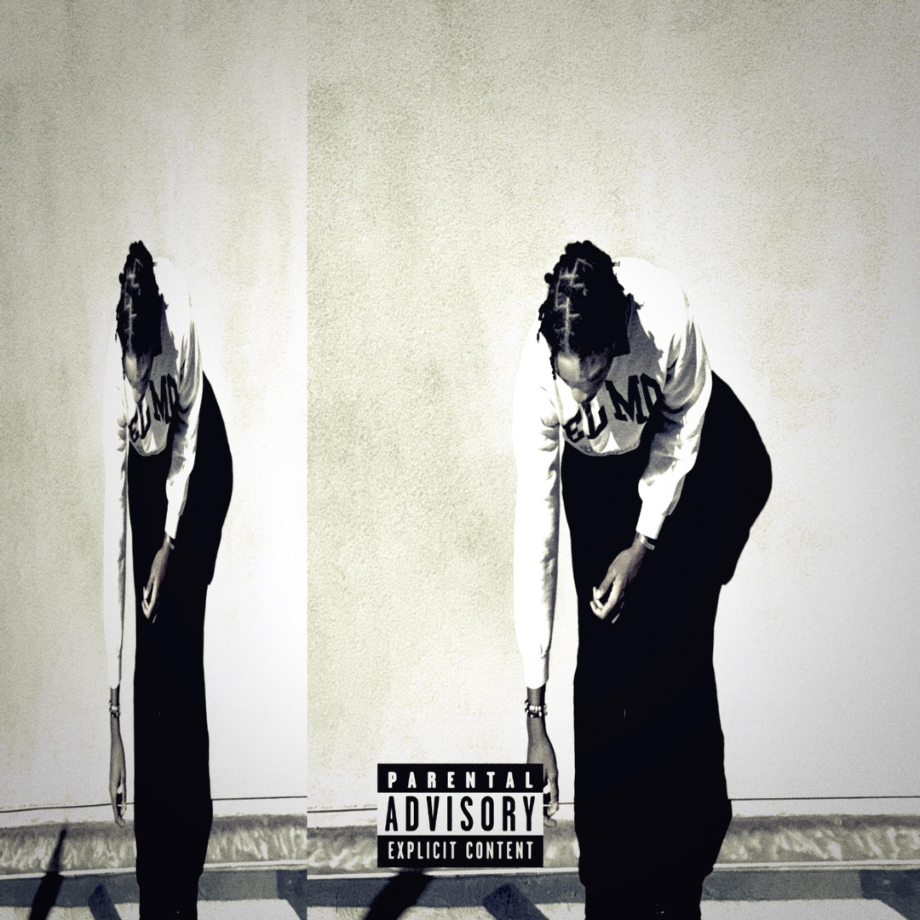 looselips artwork
