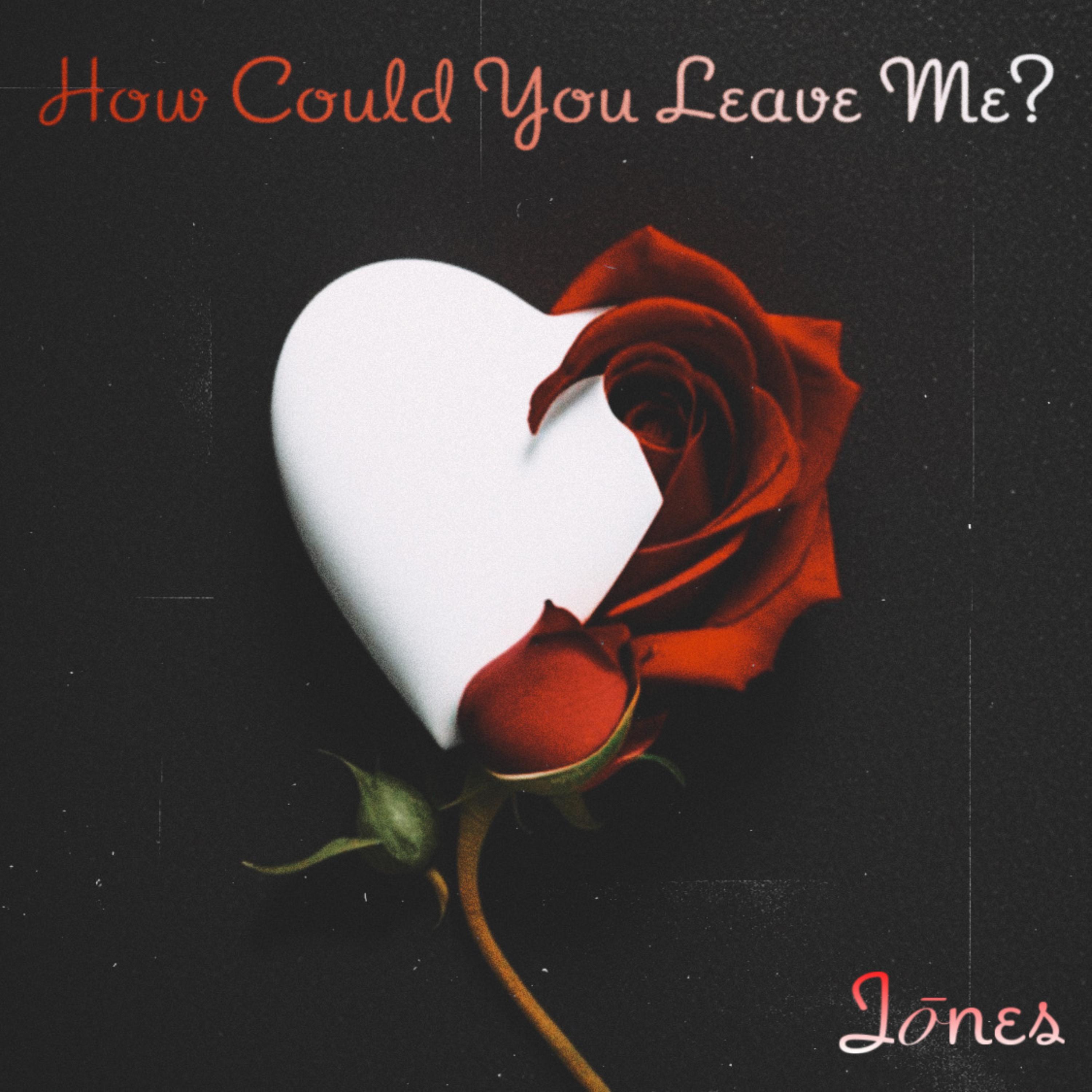 How Could You Leave Me? artwork