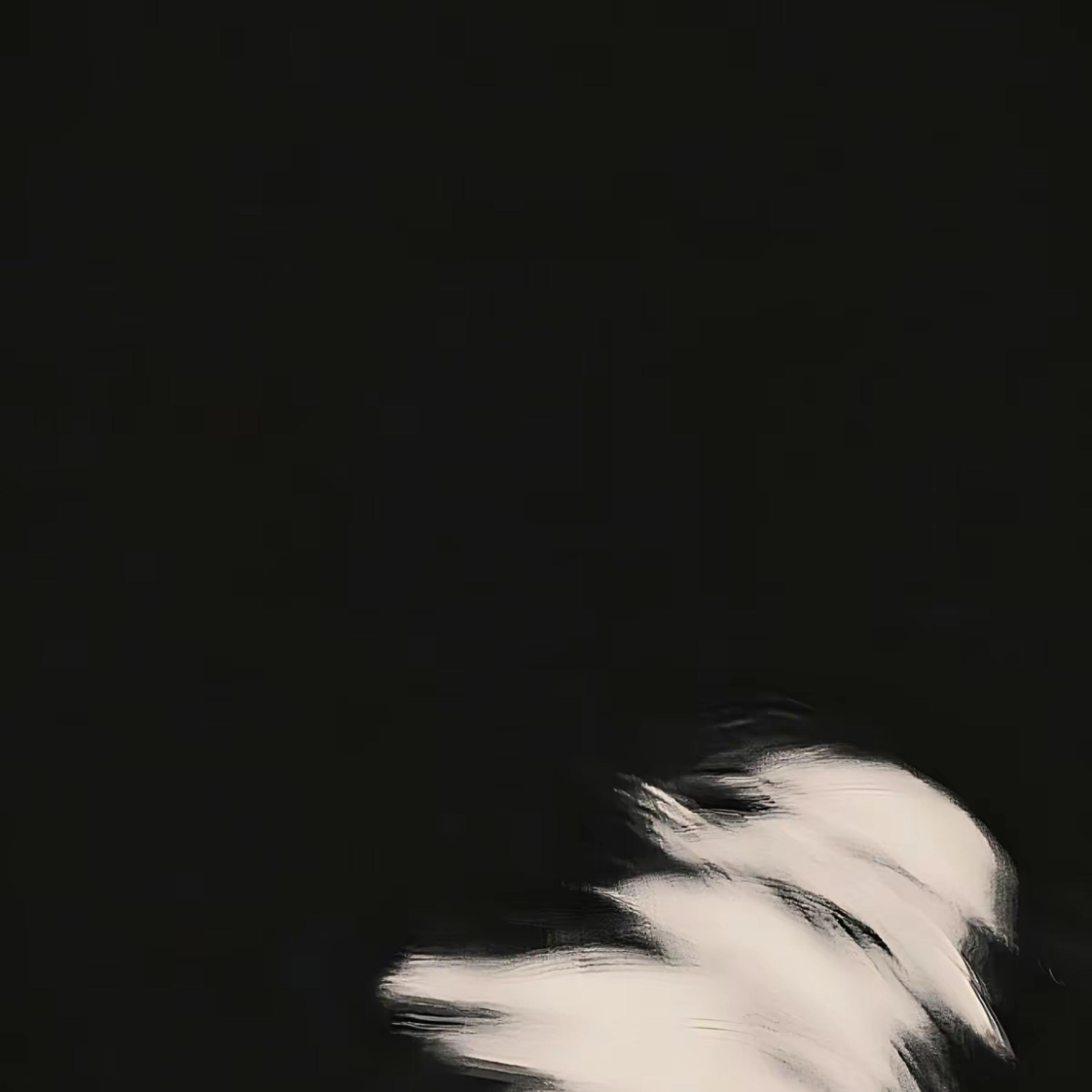no understanding artwork