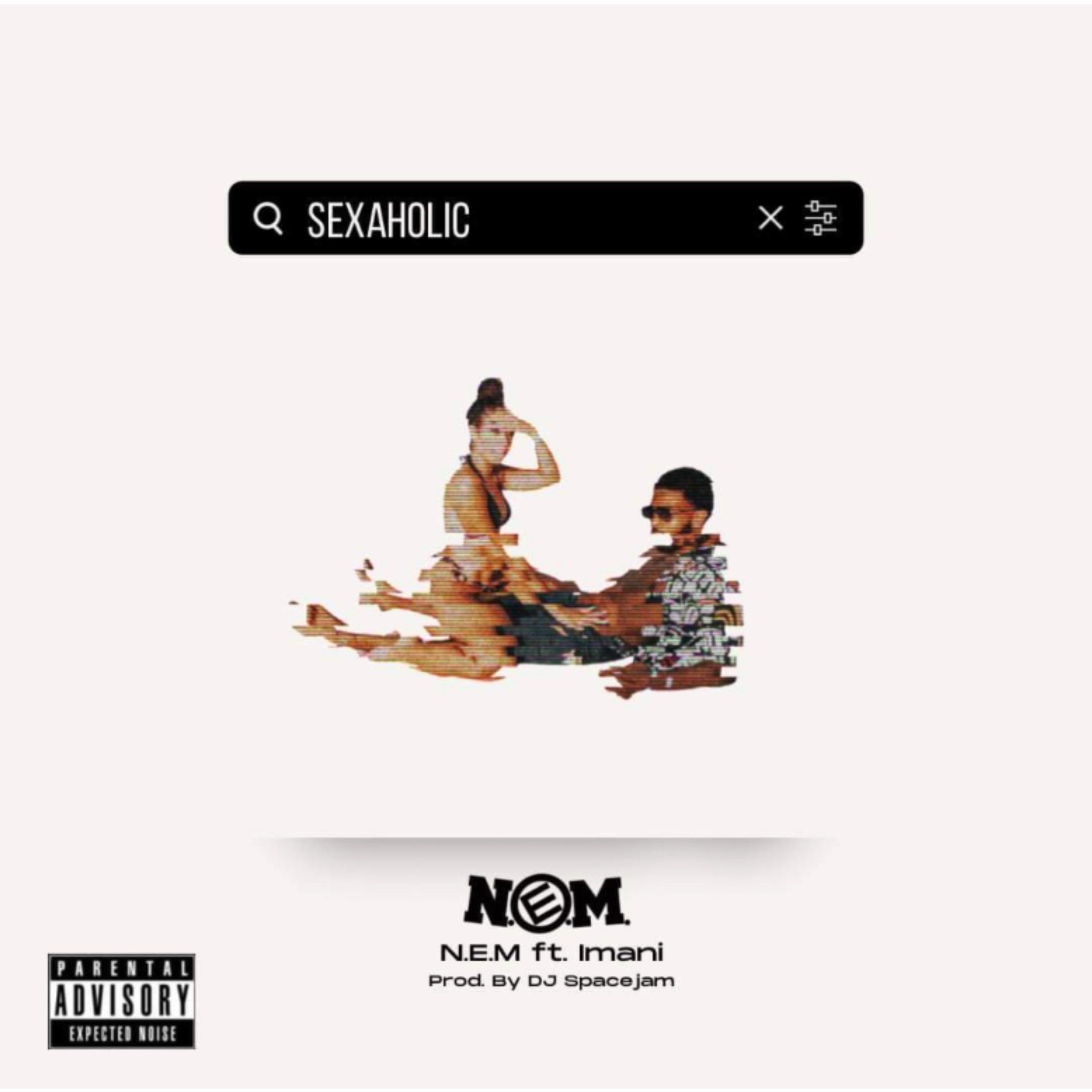Sexaholic artwork