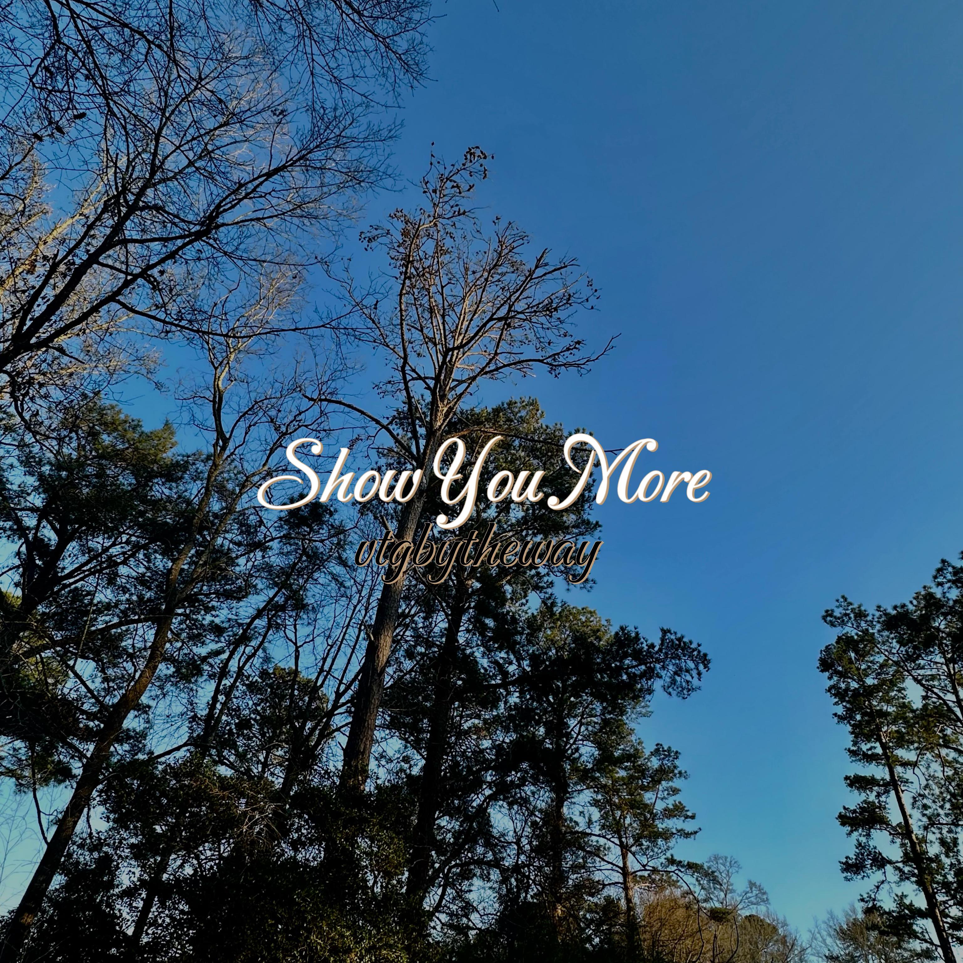 Show You More artwork