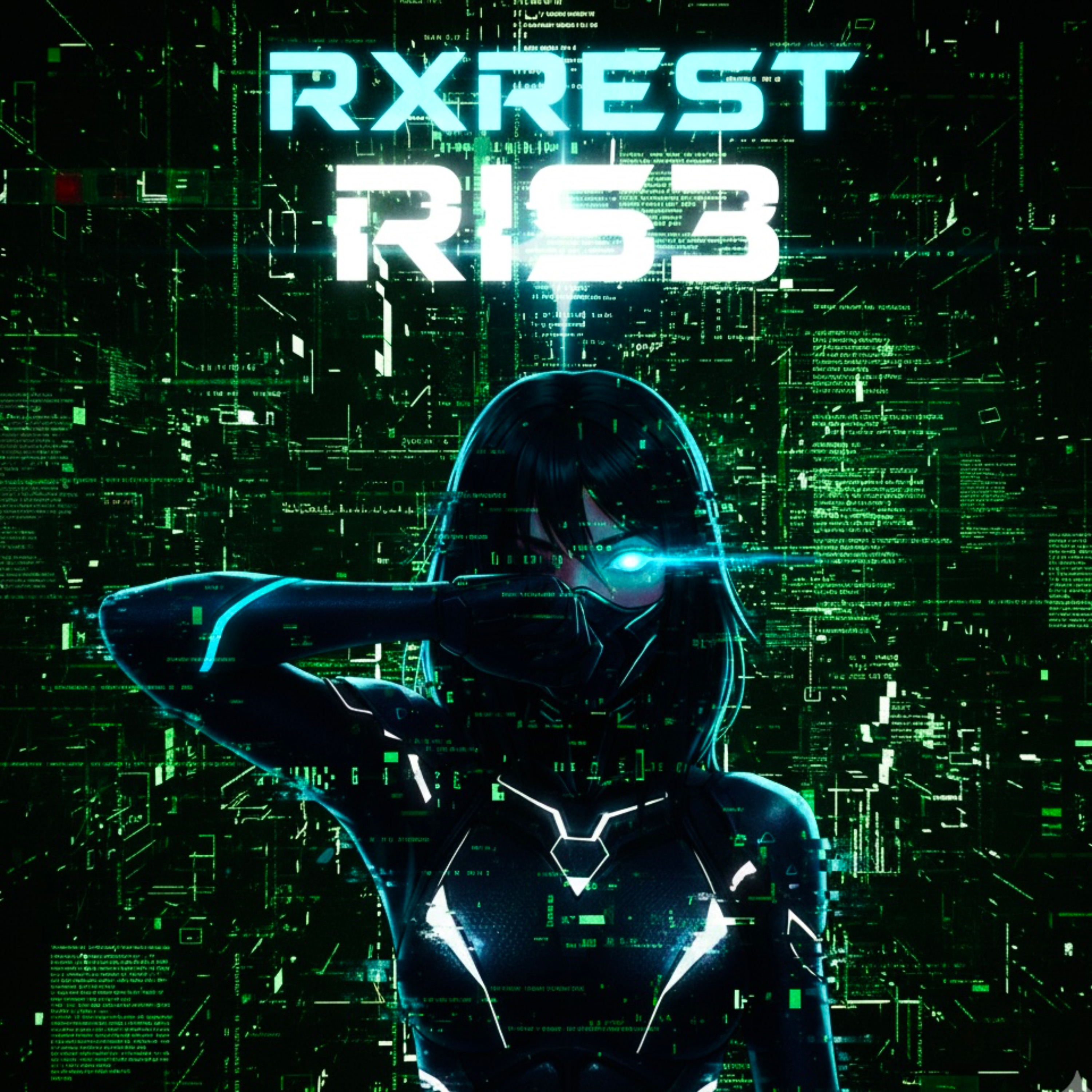 RIS3 artwork