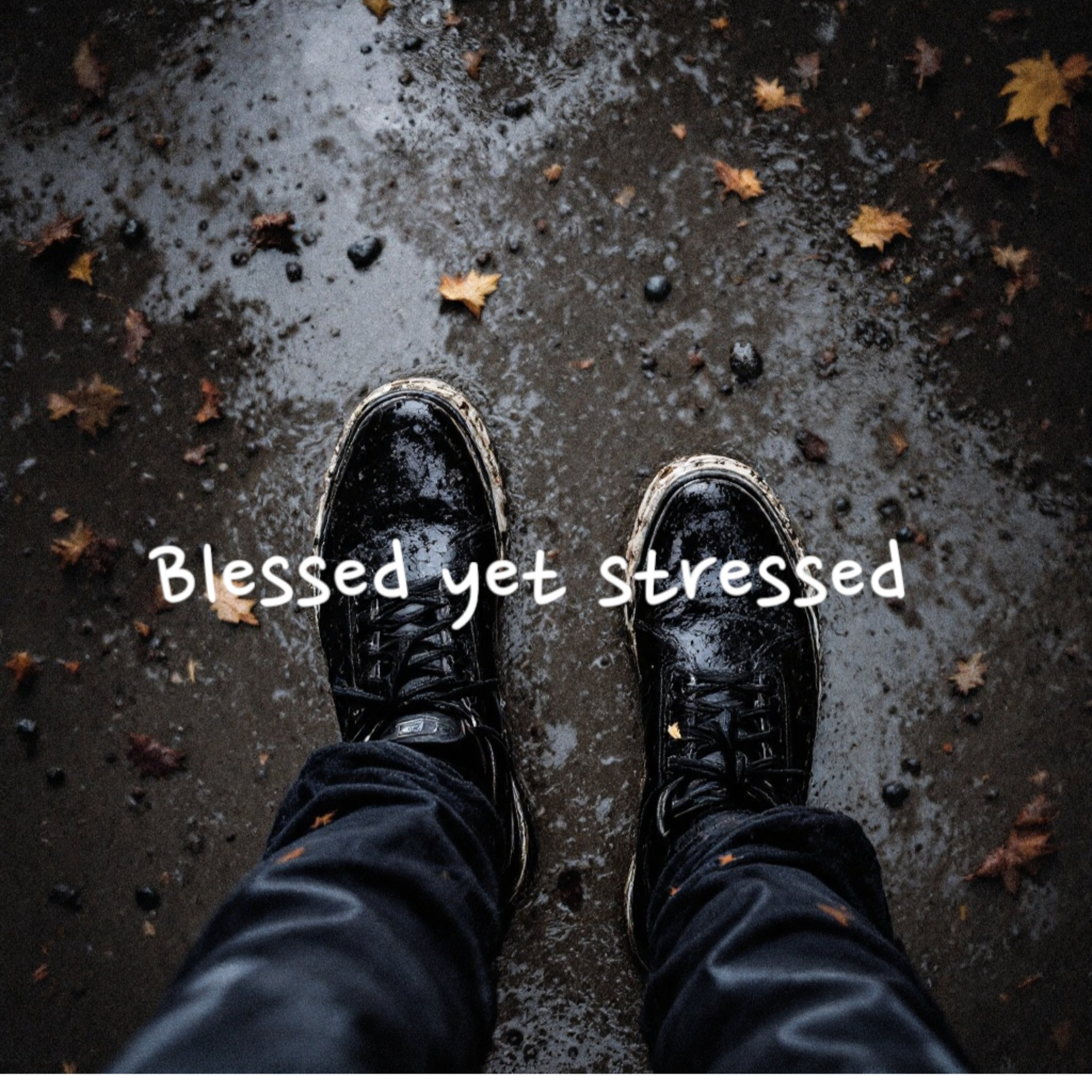 Blessed Yet Stressed artwork