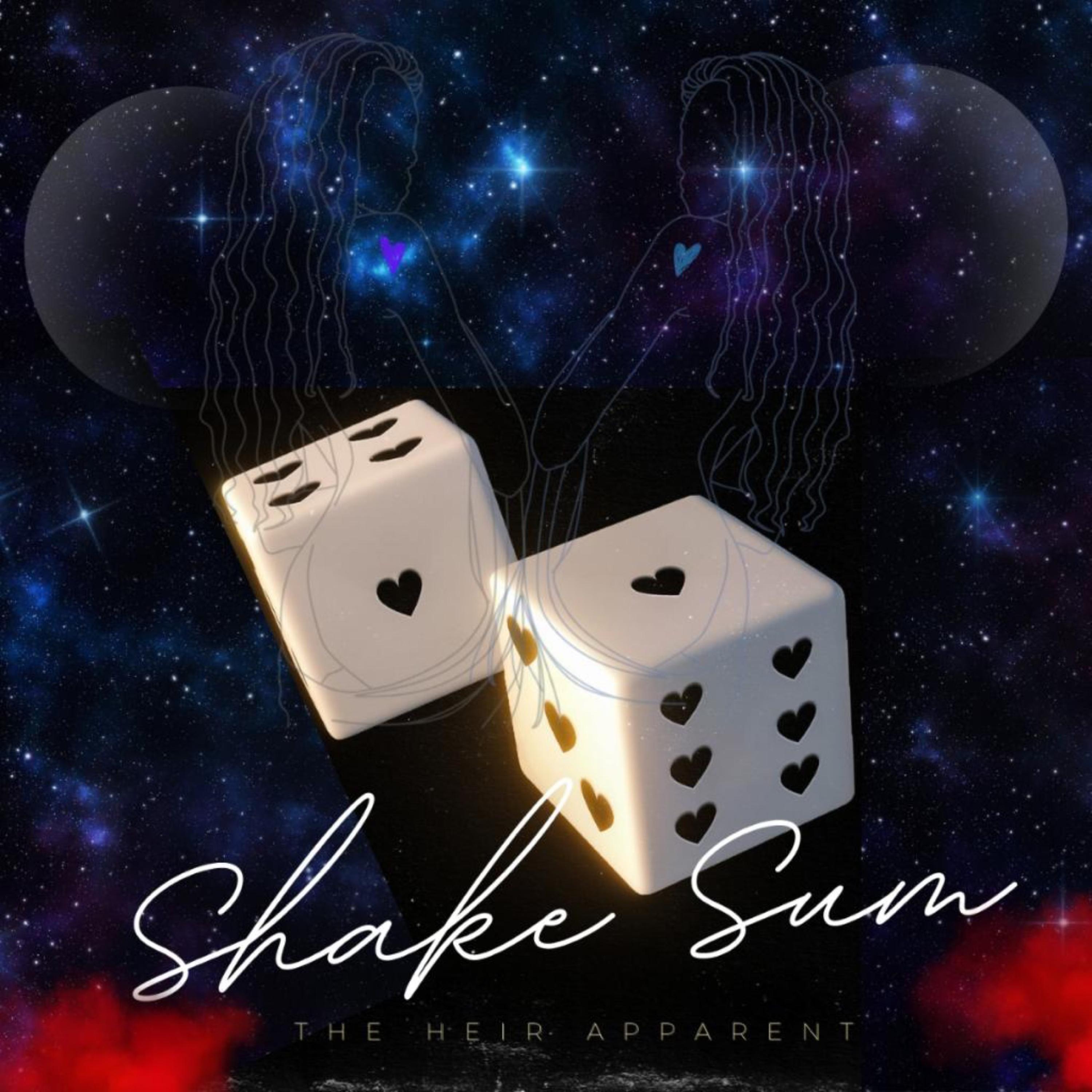 Shake Sumn artwork