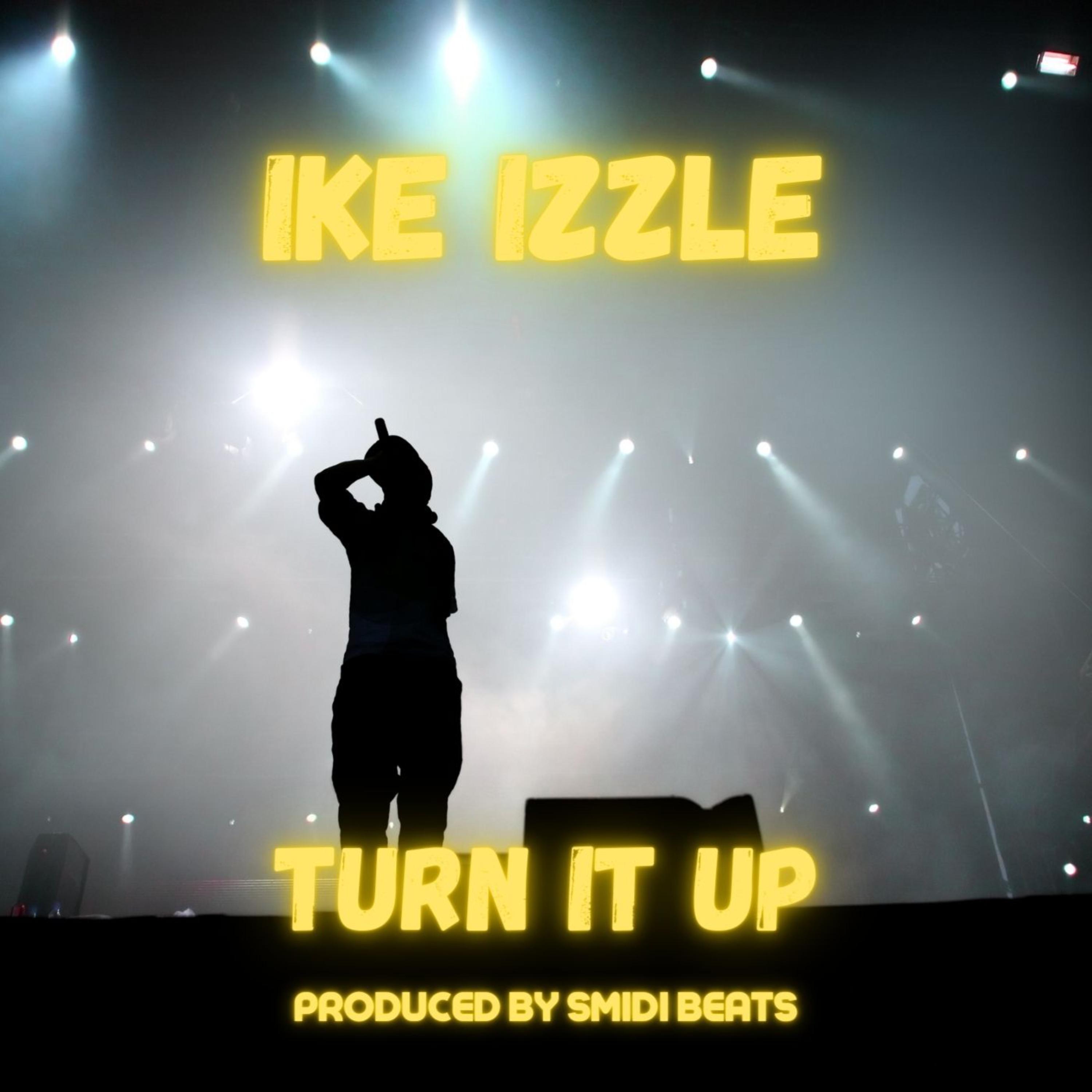 Turn It Up artwork