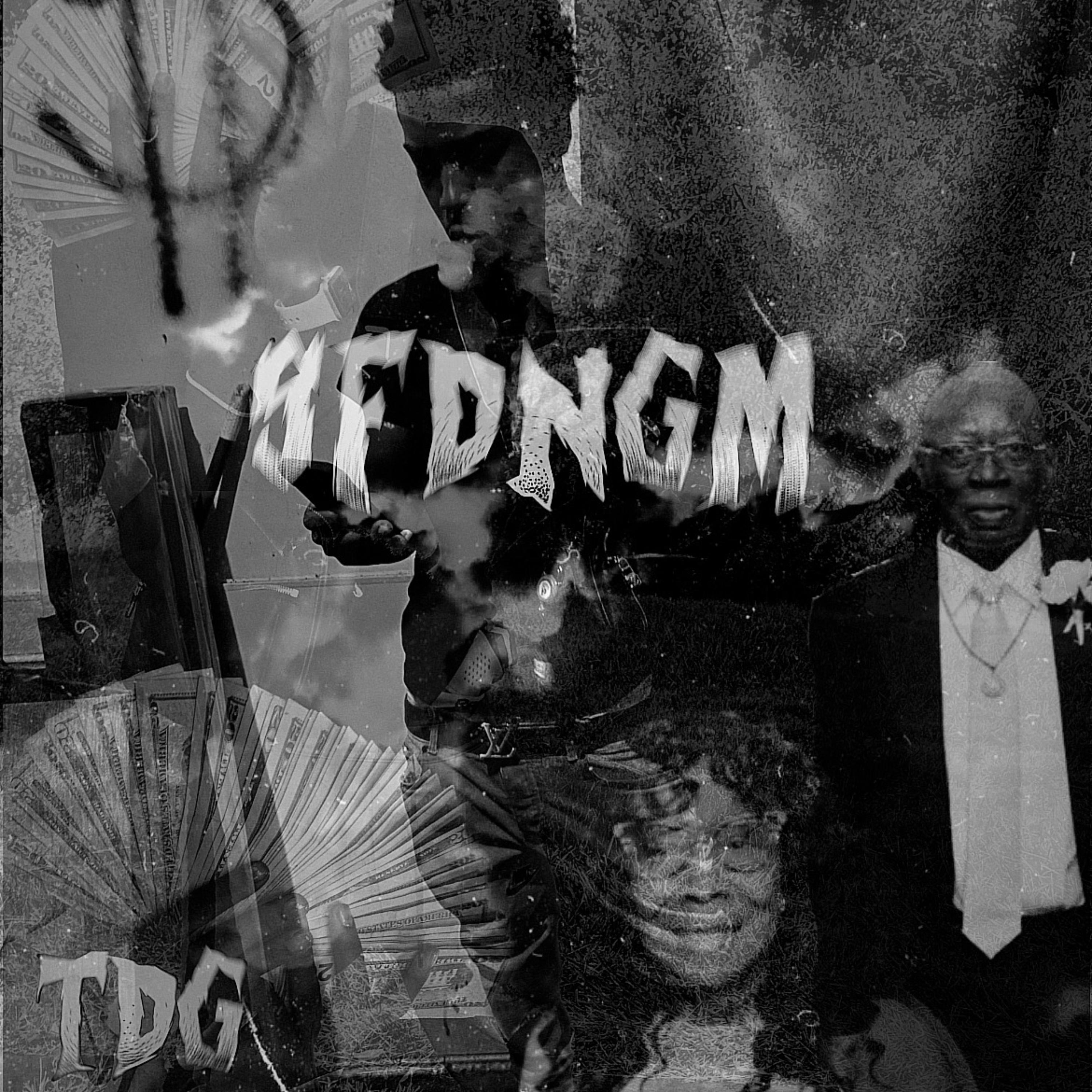 SFDNGM artwork