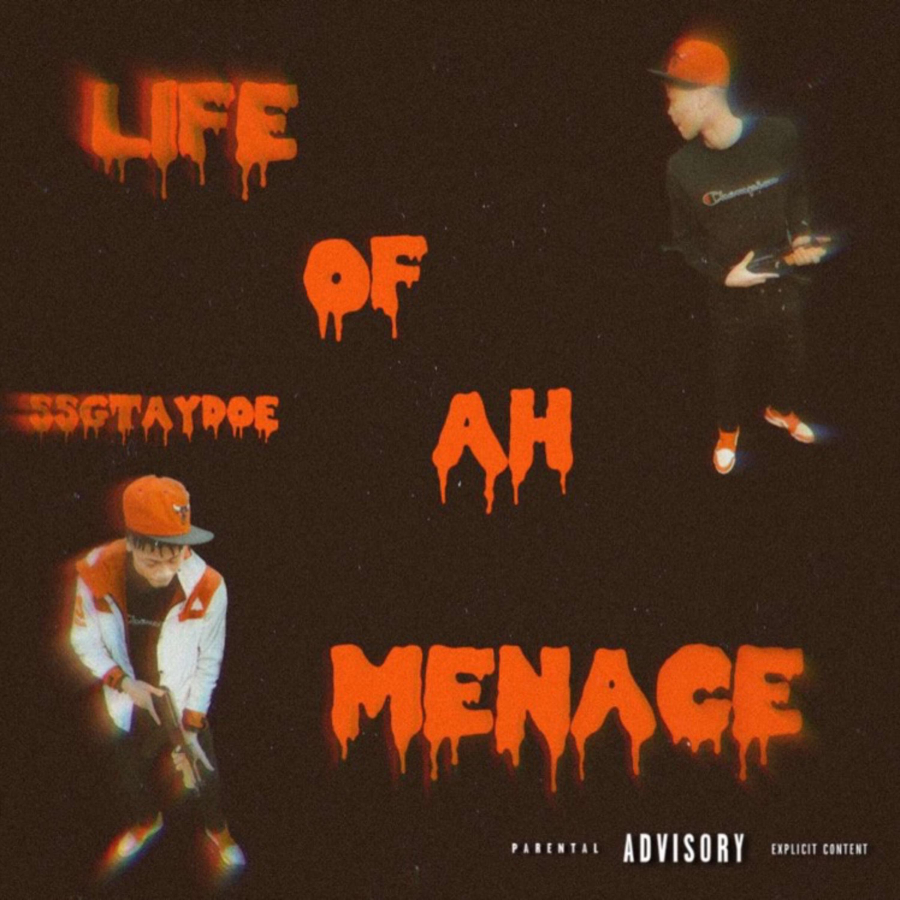 LIFE OF A MENACE artwork