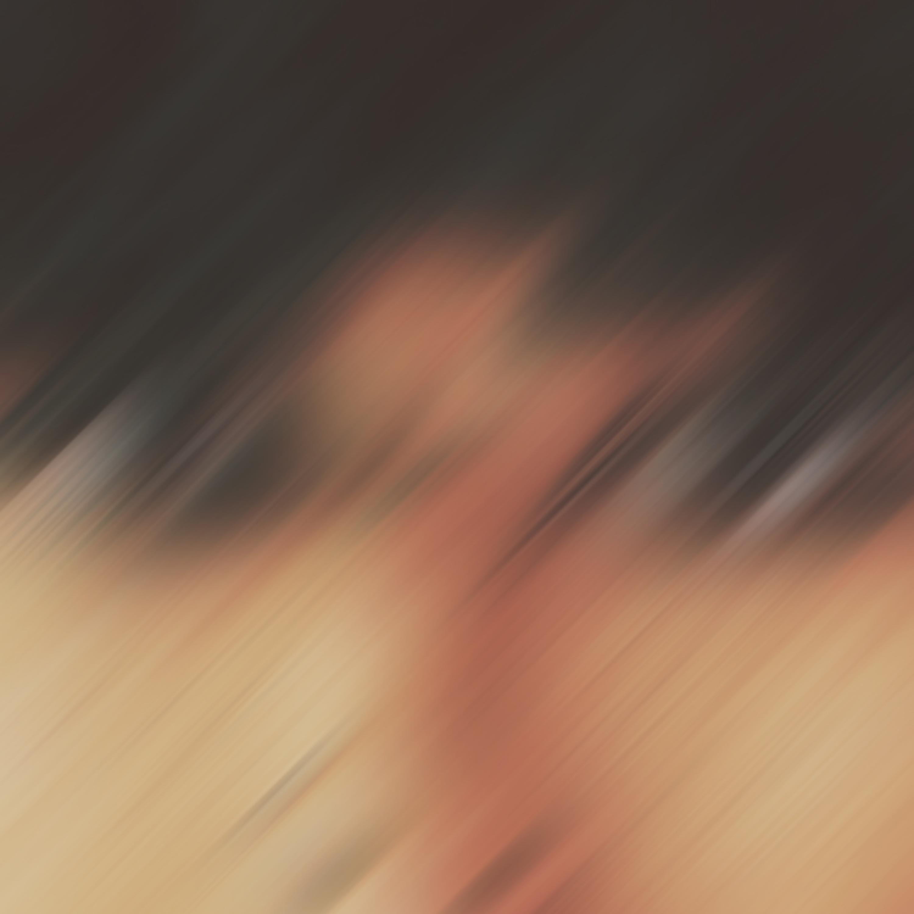 mislead & misguided artwork