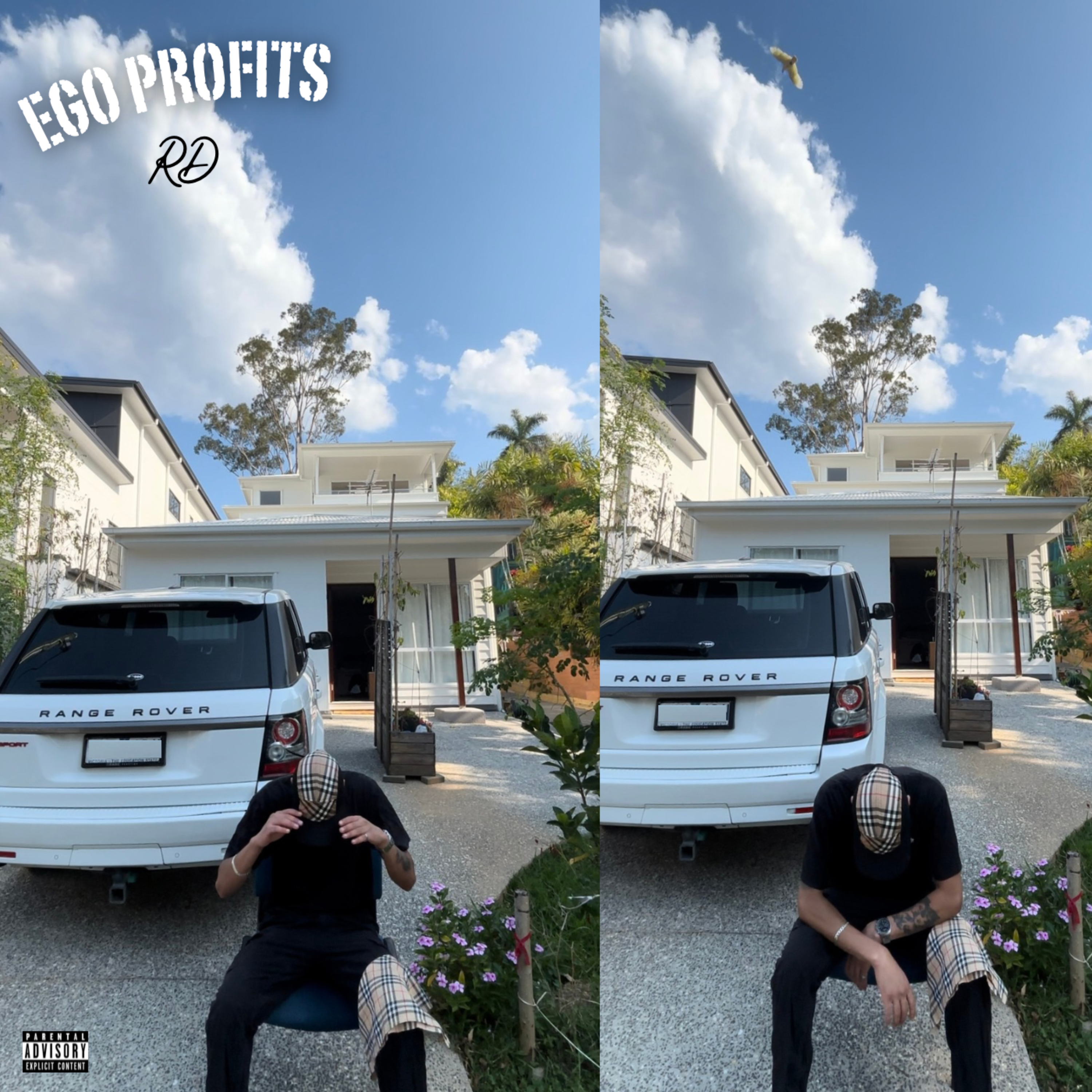 Ego Profits artwork