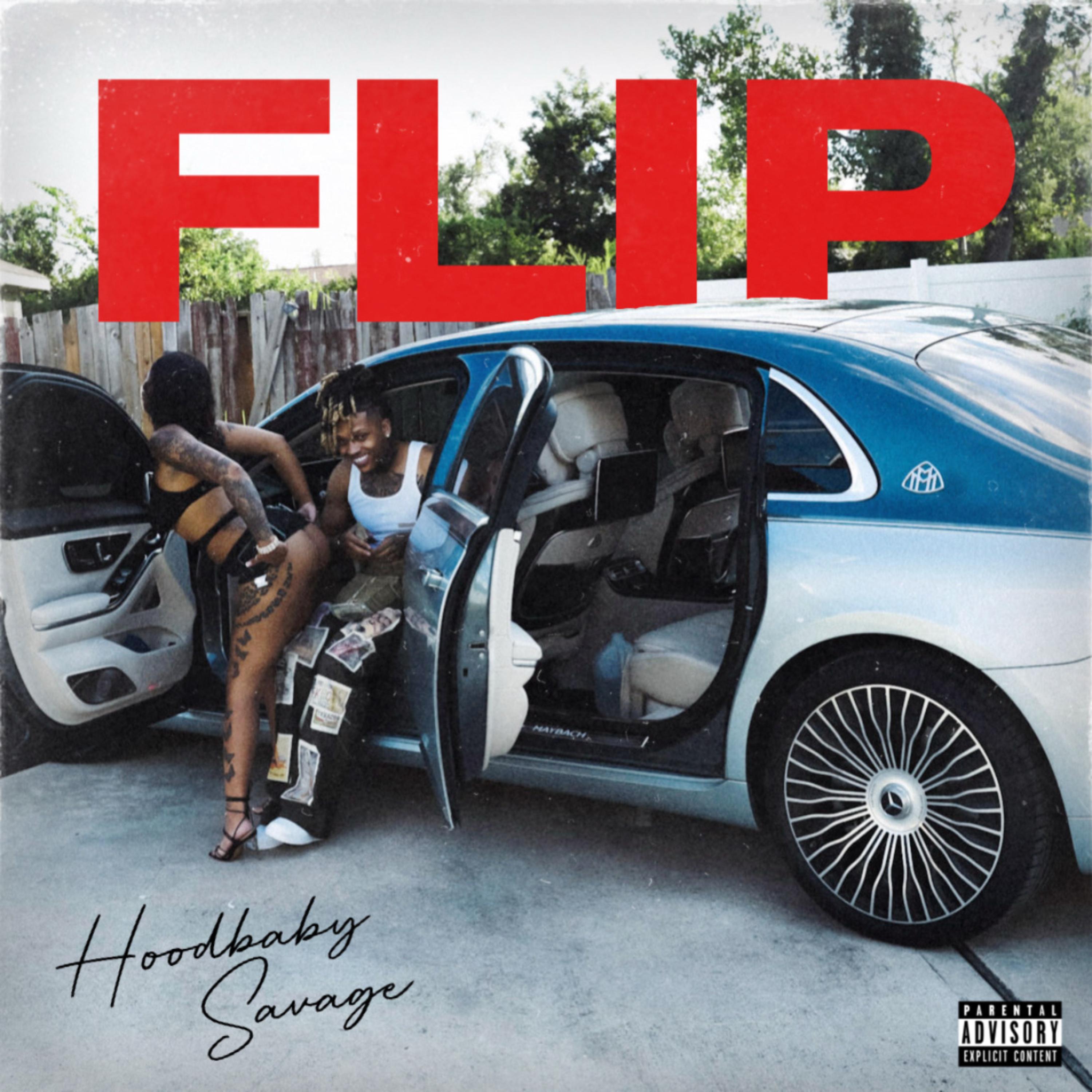 Flip artwork