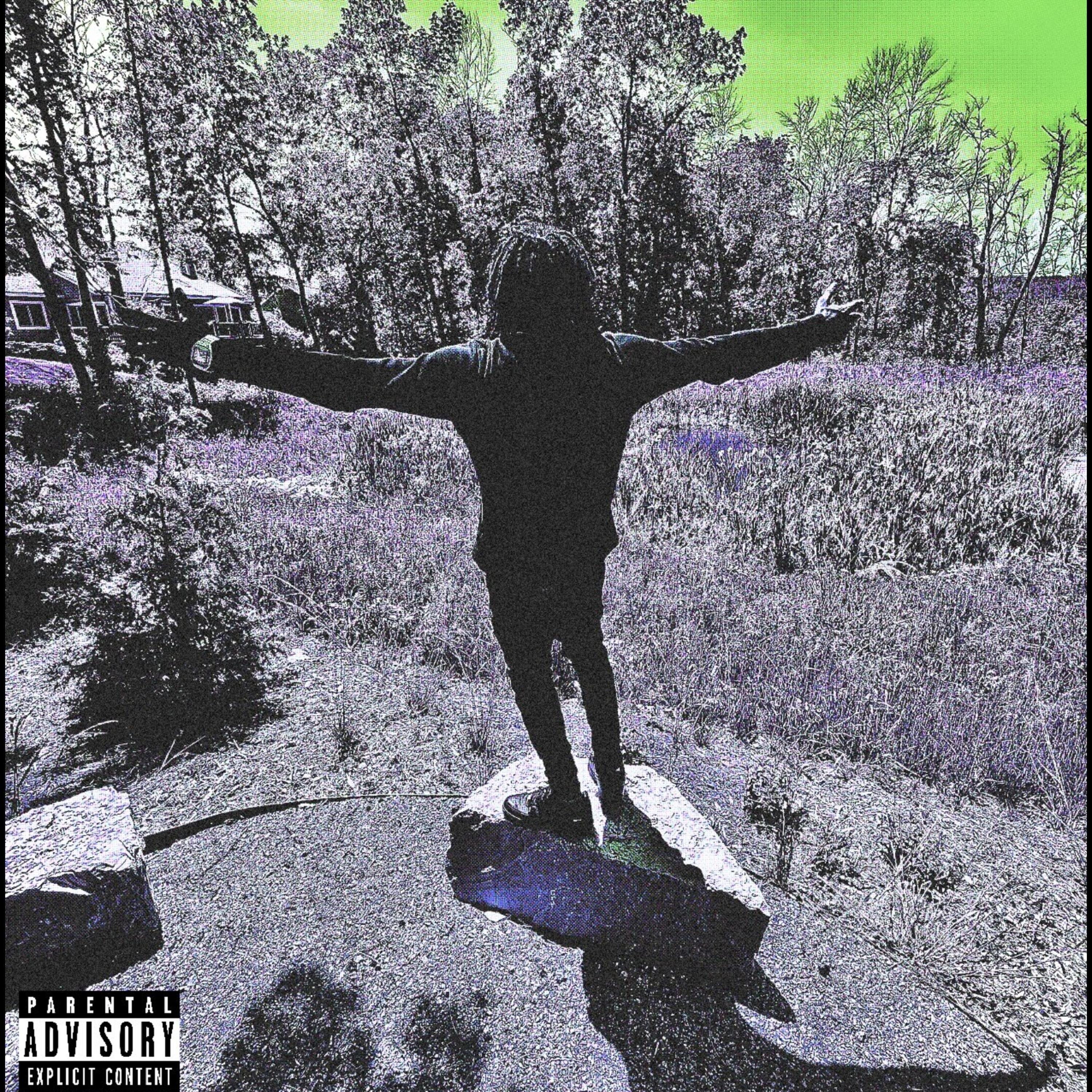 Party Like A Rockstar artwork