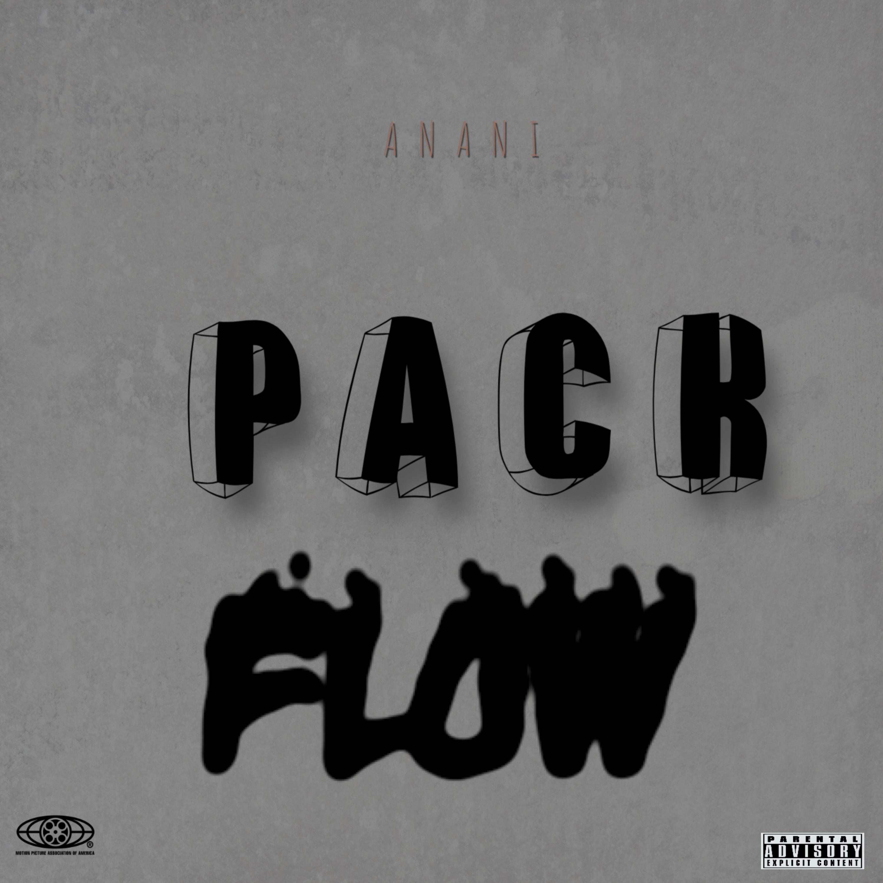 Pack Flow artwork
