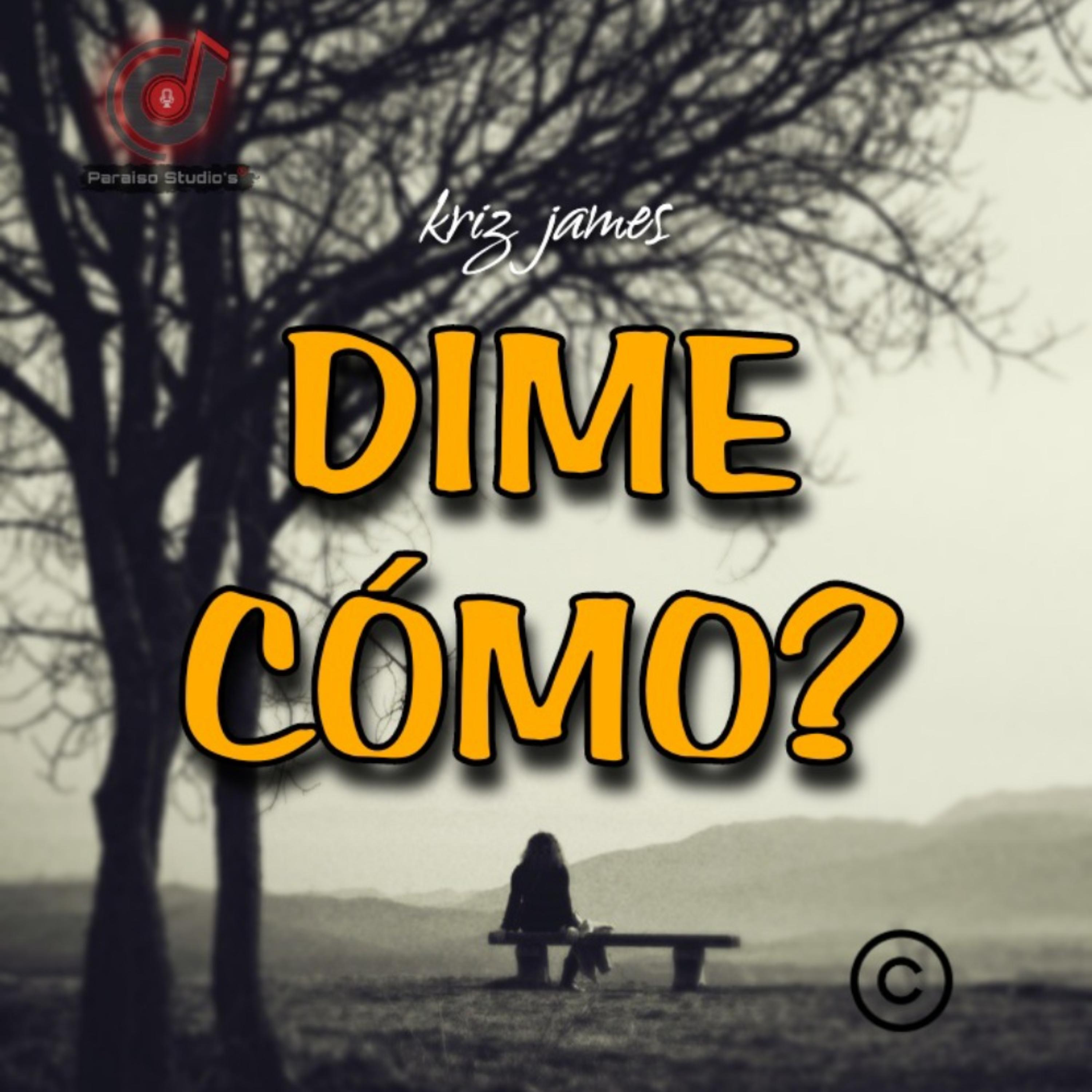 Dime Cómo? artwork
