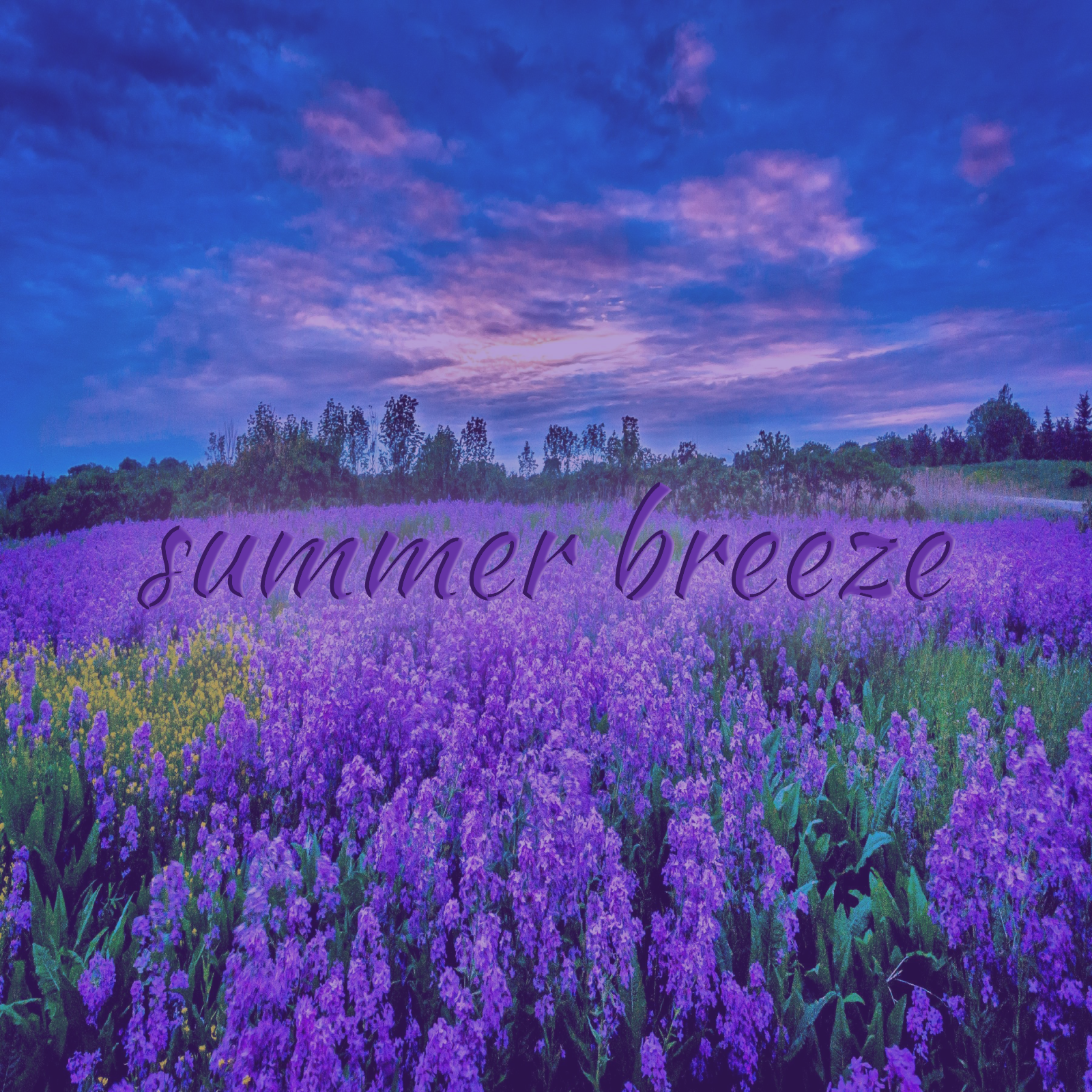 Summer Breeze artwork
