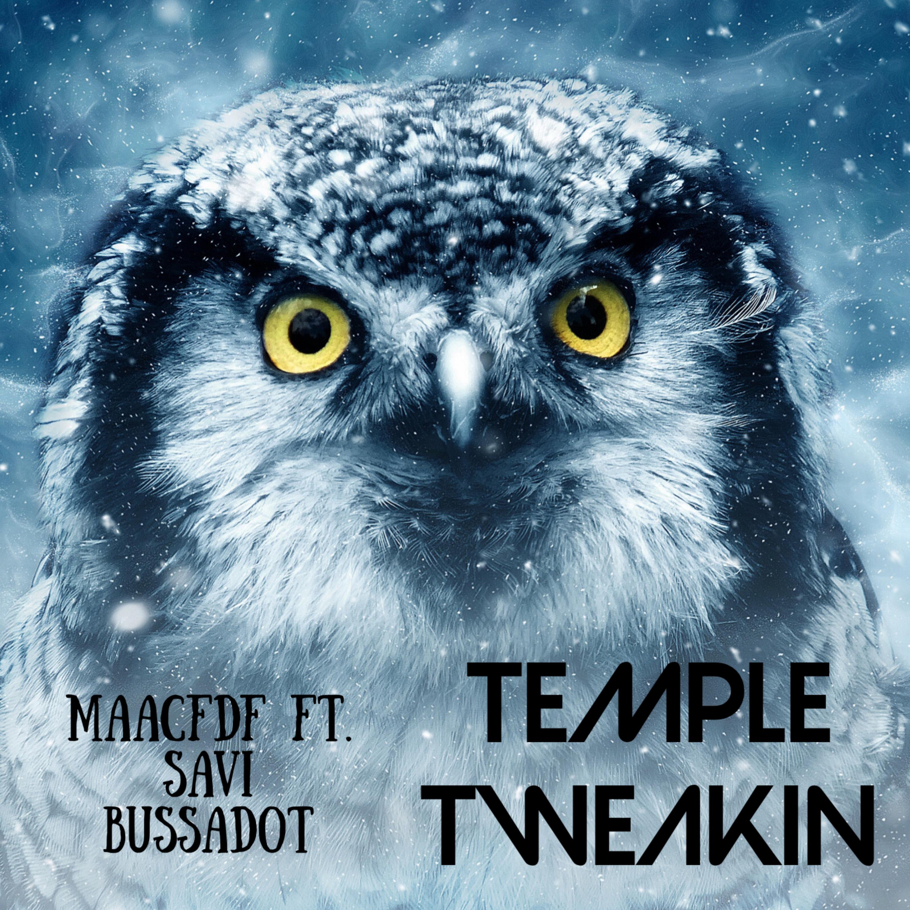 Temple Tweakin artwork