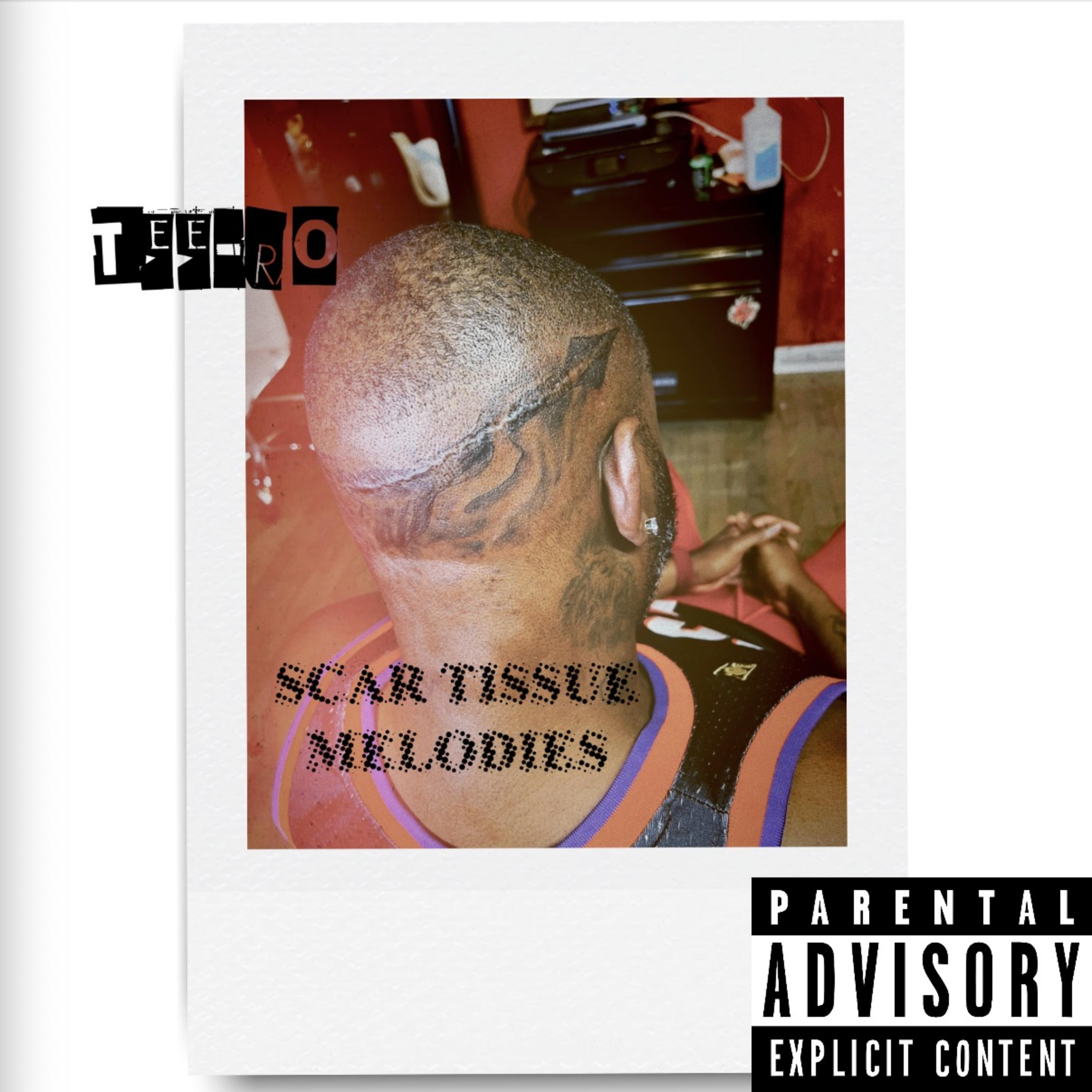 Scar Tissue Melodies/Intro artwork