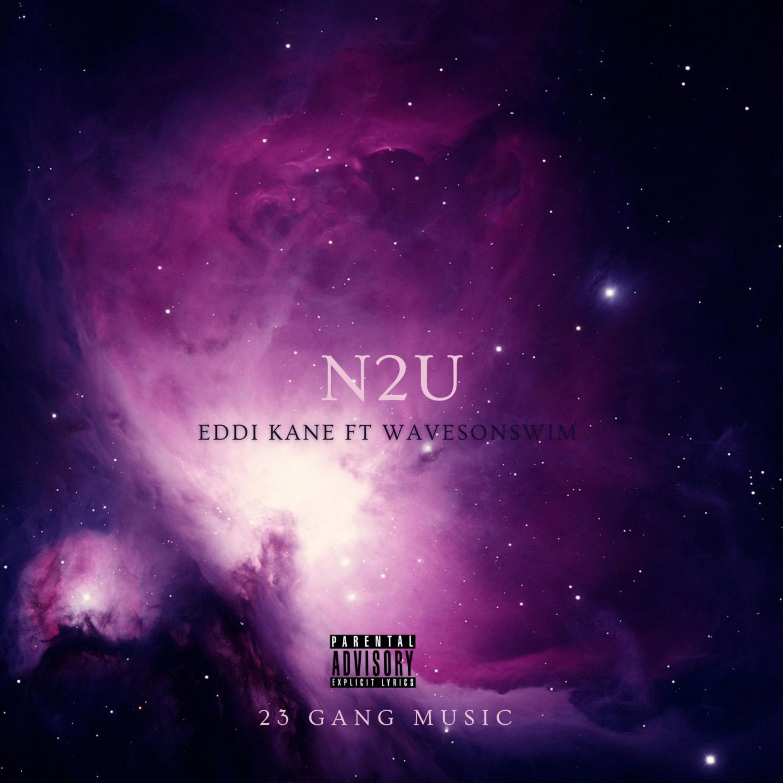 N2U artwork