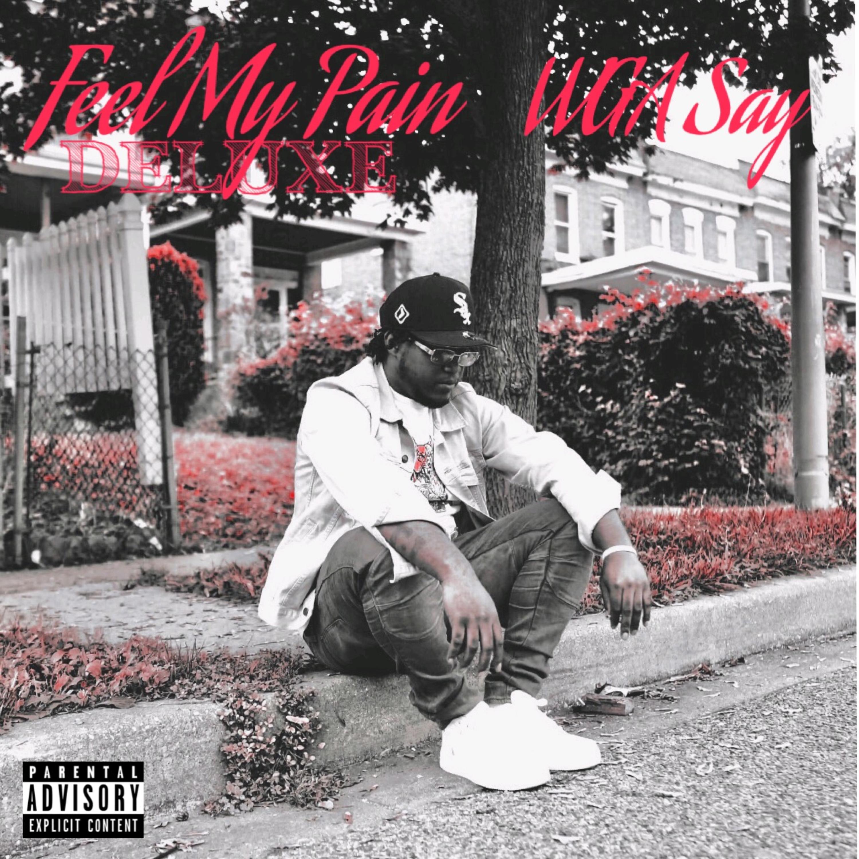 Feel My Pain (Deluxe) artwork