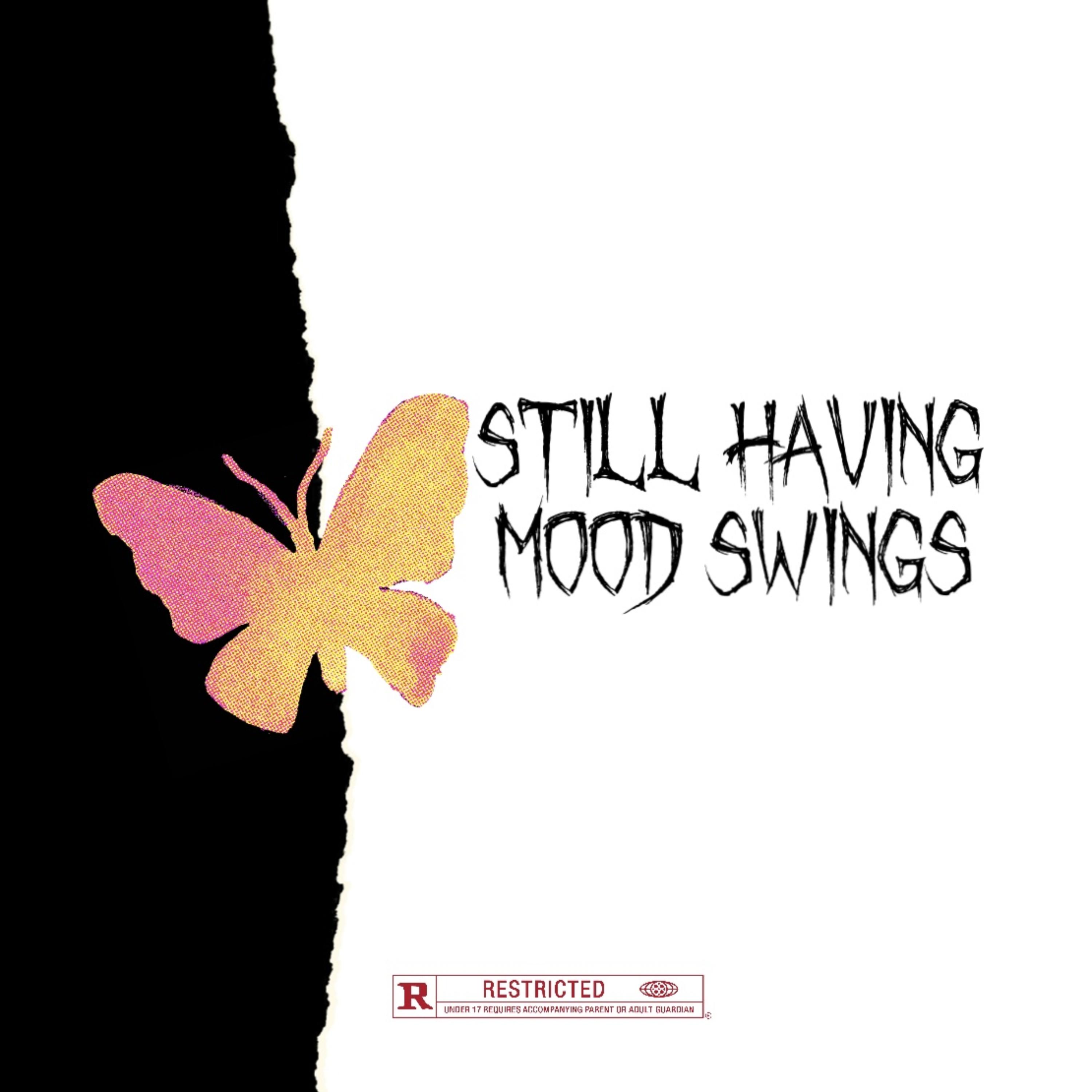 STILL HAVING MOOD SWINGS artwork