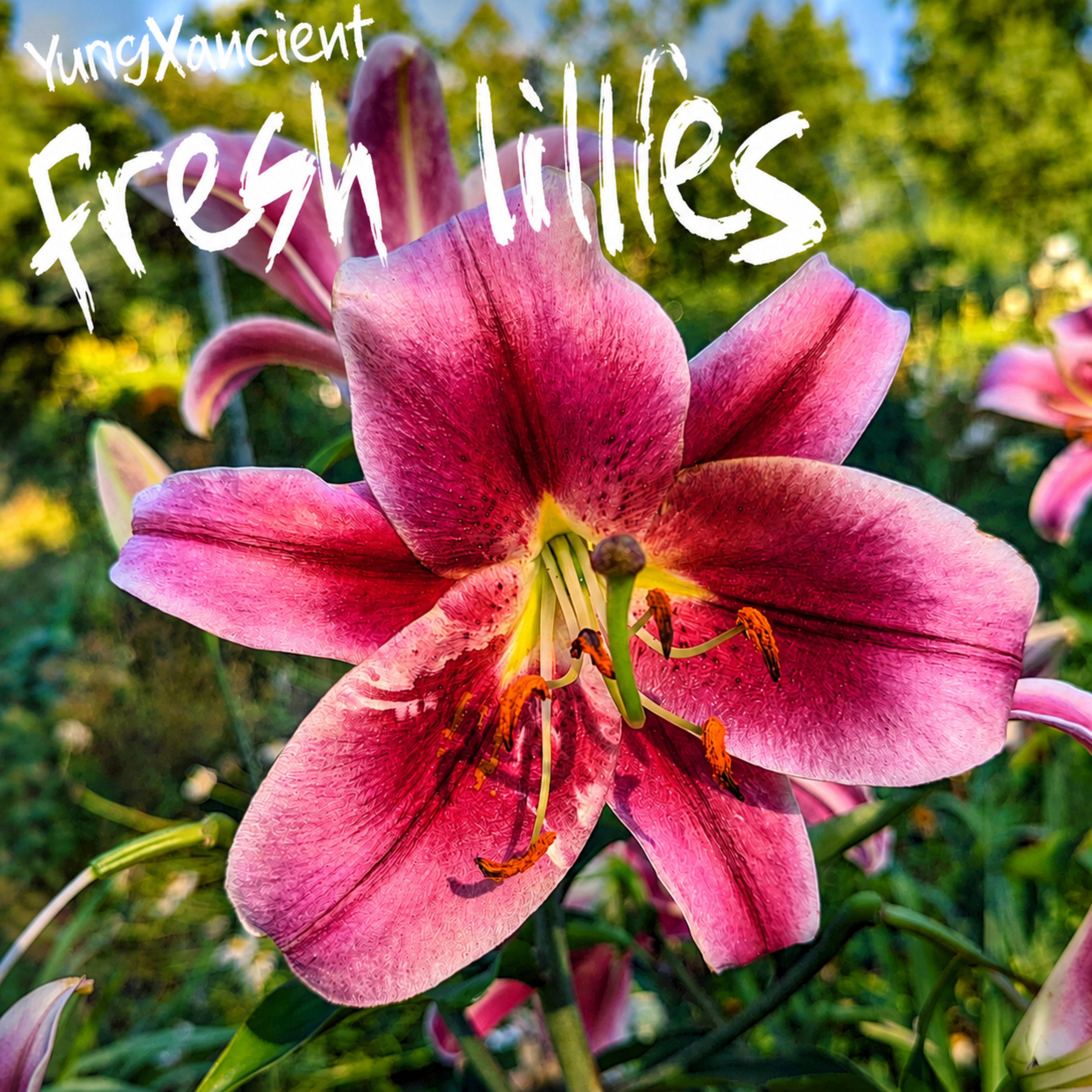 fresh lillies by YungXancient cover art