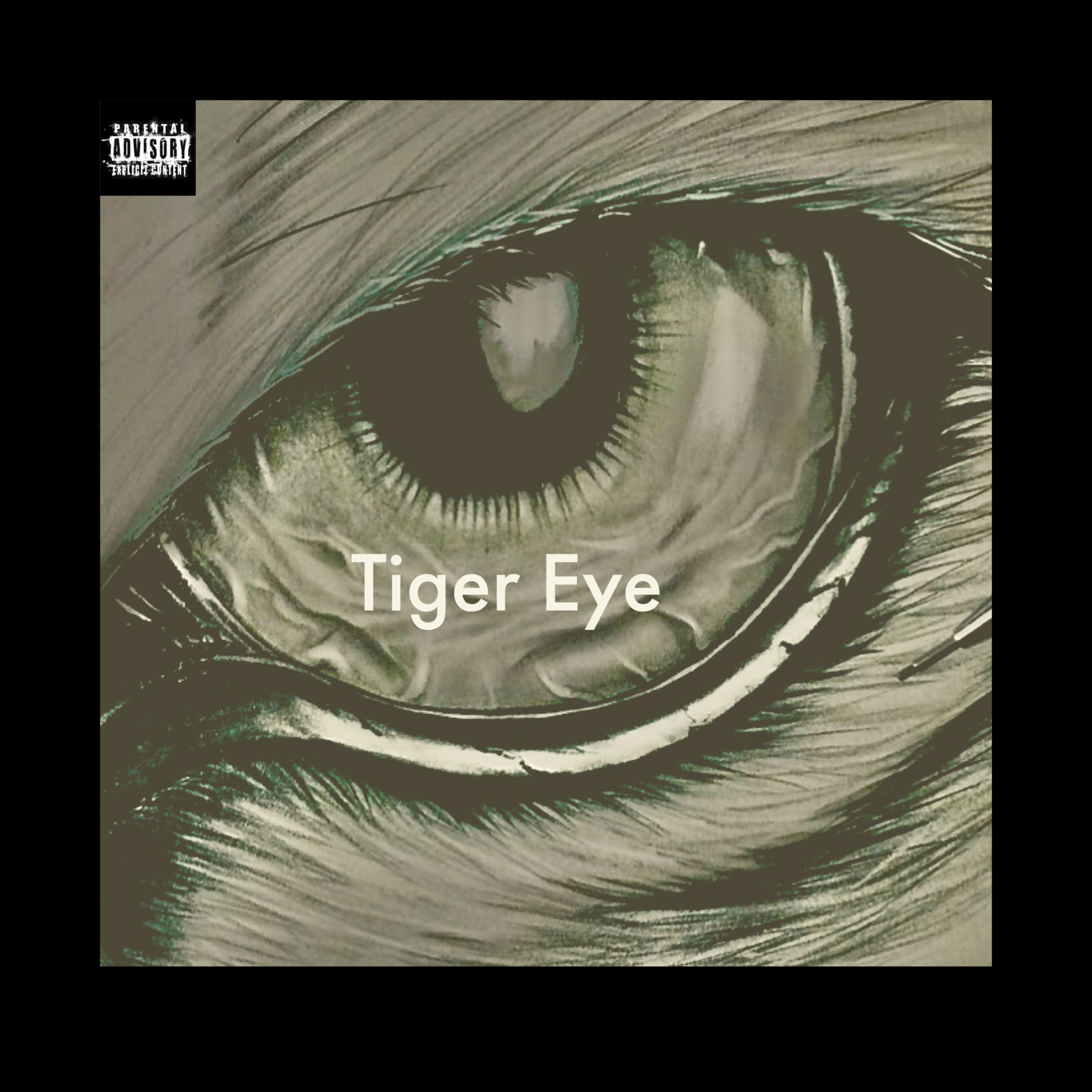 Tiger Eye artwork