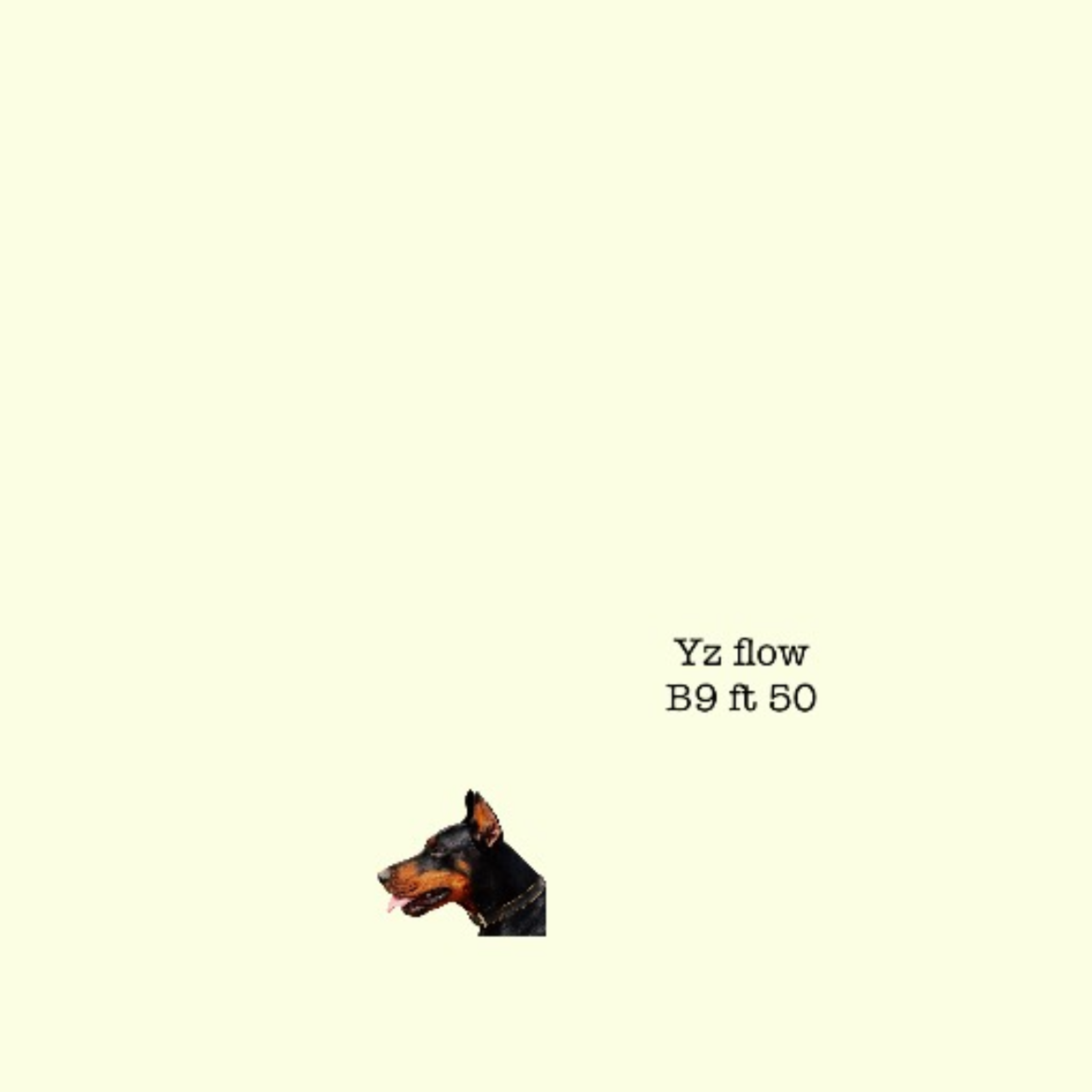 Yz Flow artwork