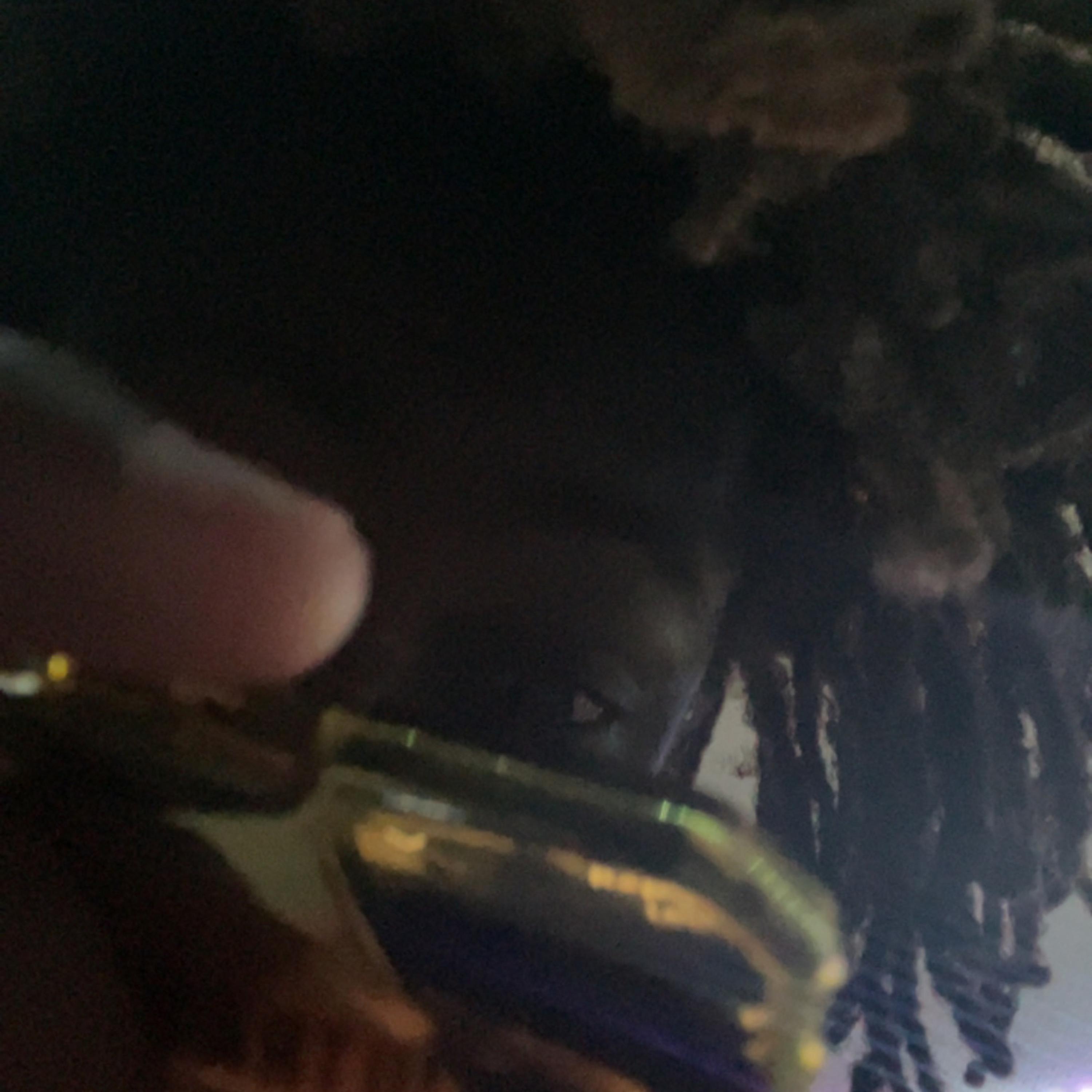 No Bitch You Cant Hit The Yart artwork