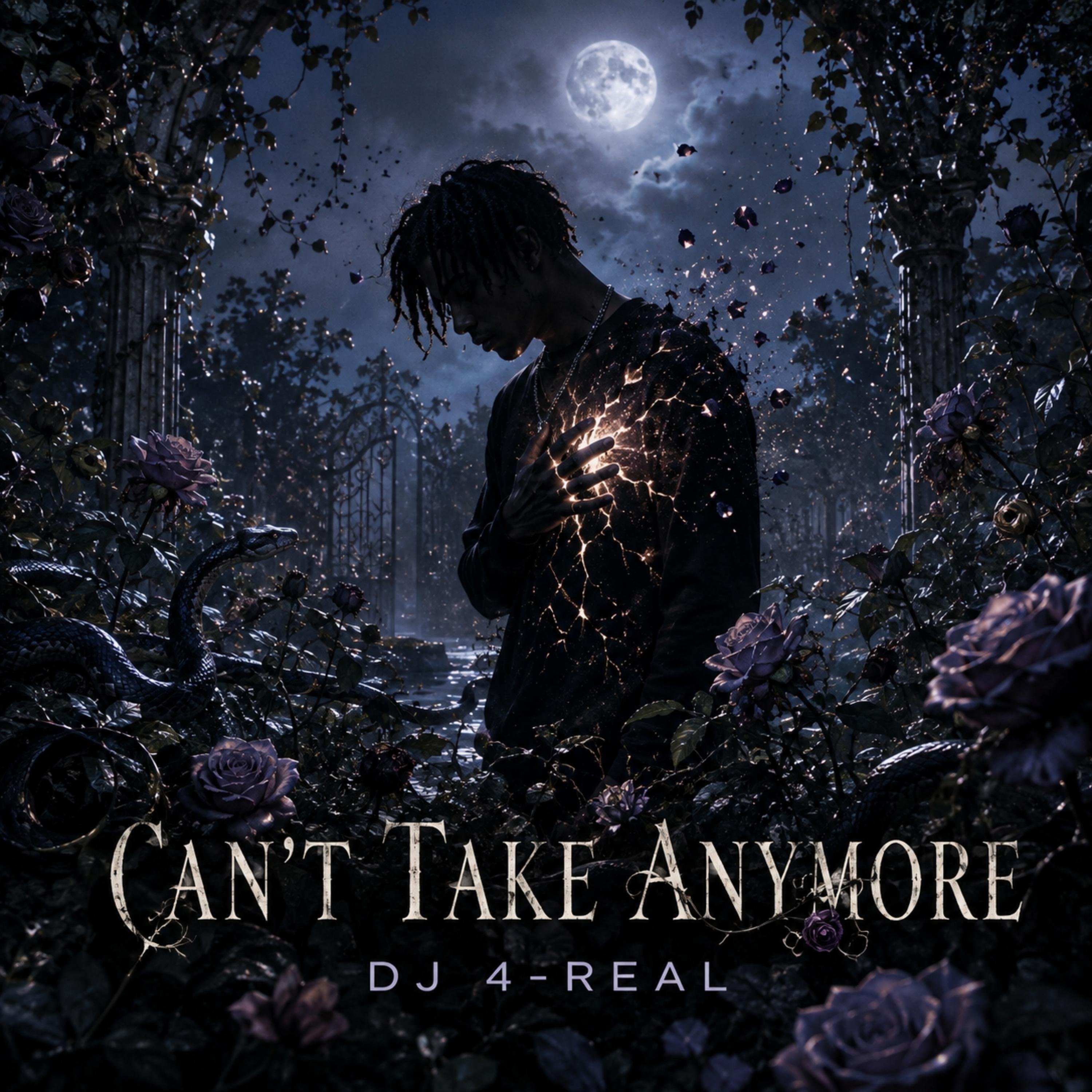 Can't Take Anymore by Dj 4-Real cover art