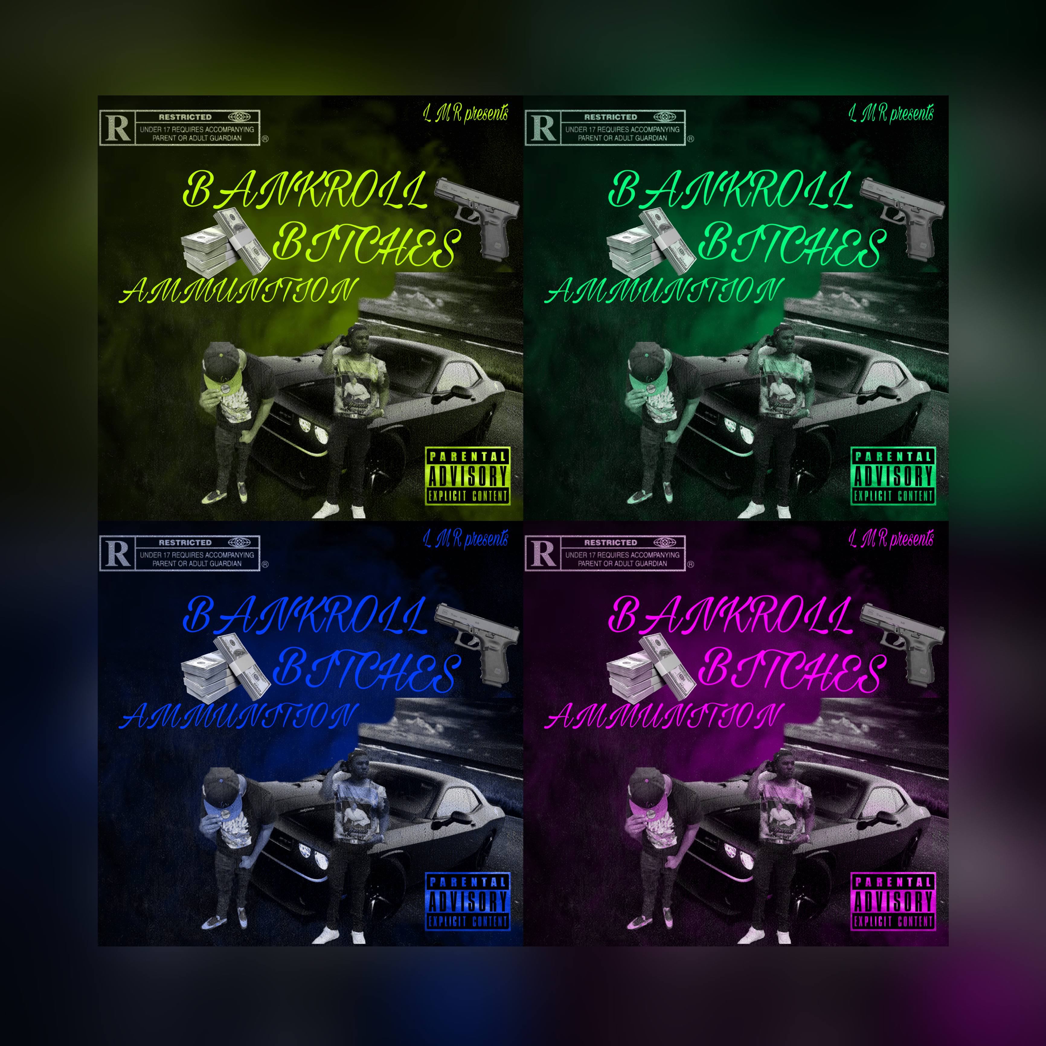 Bankroll Bitches Ammunition artwork