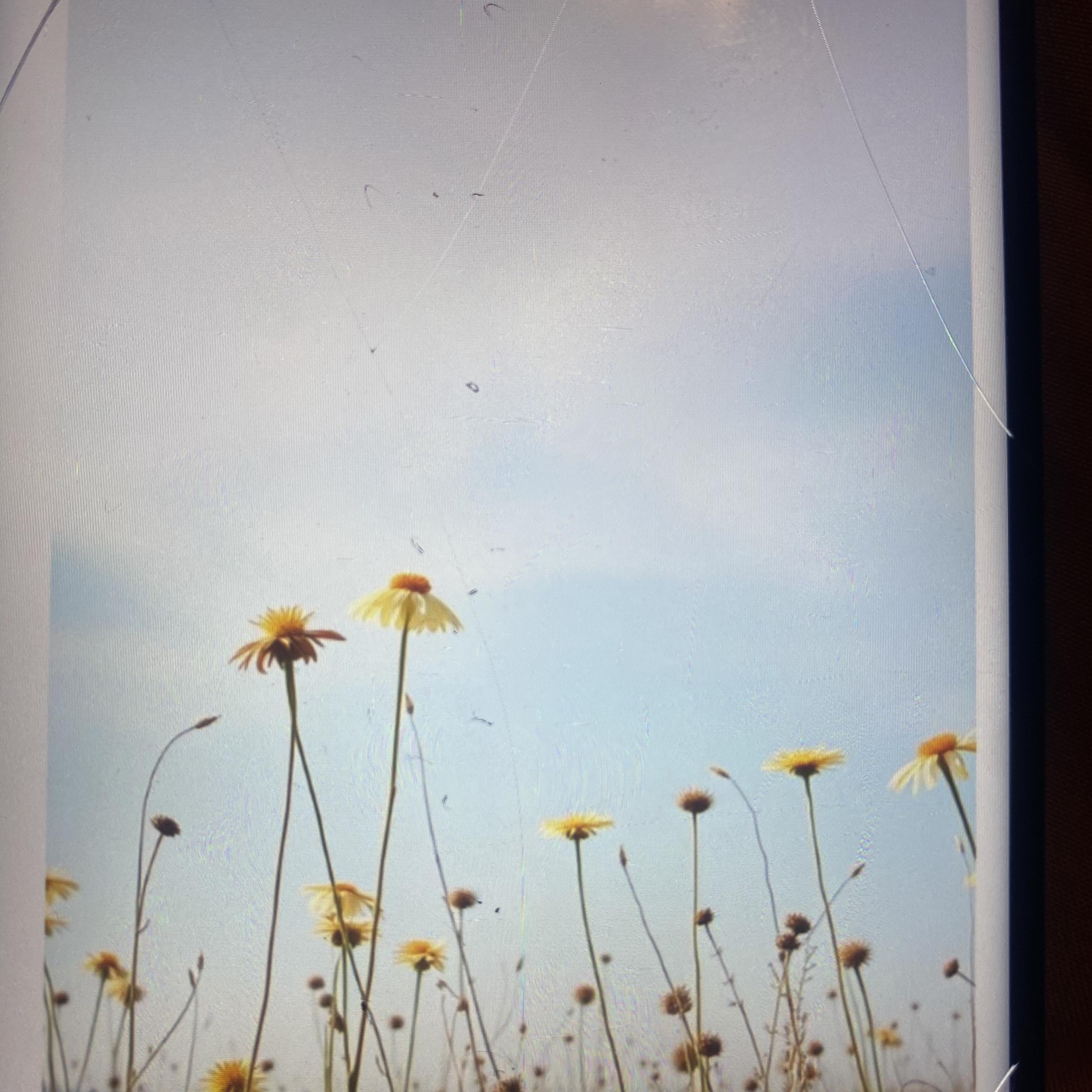 In Texas artwork