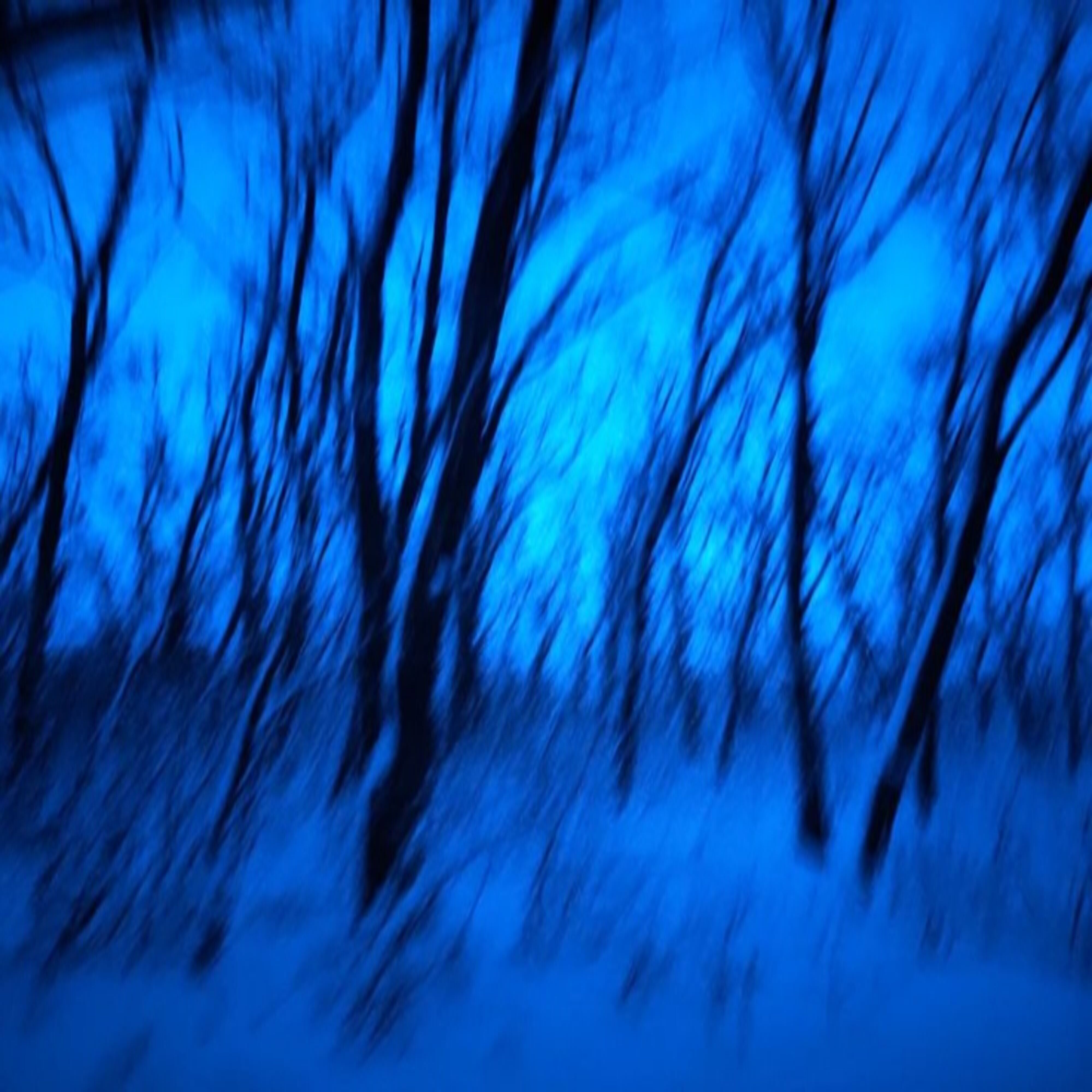 From The North artwork