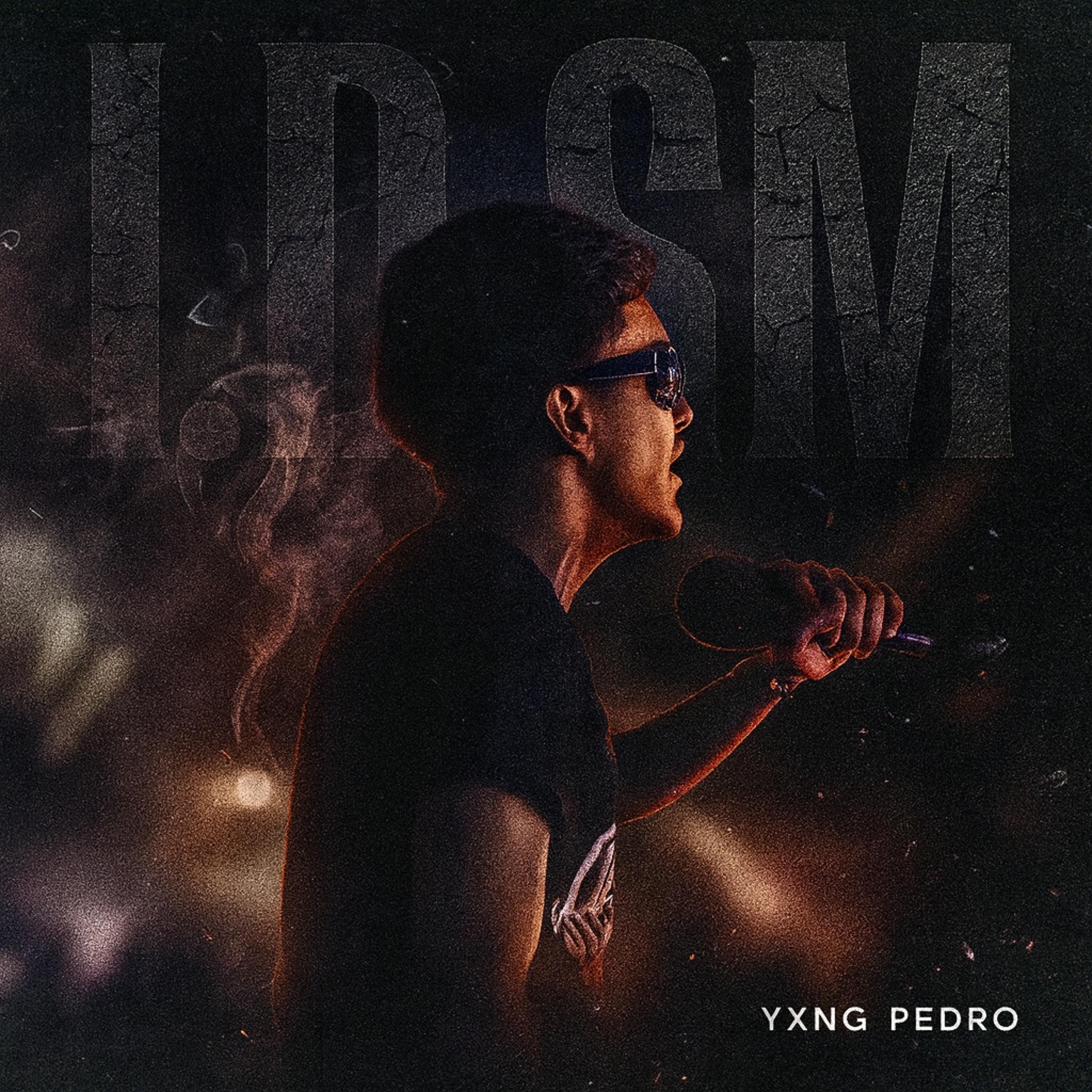IDSM artwork