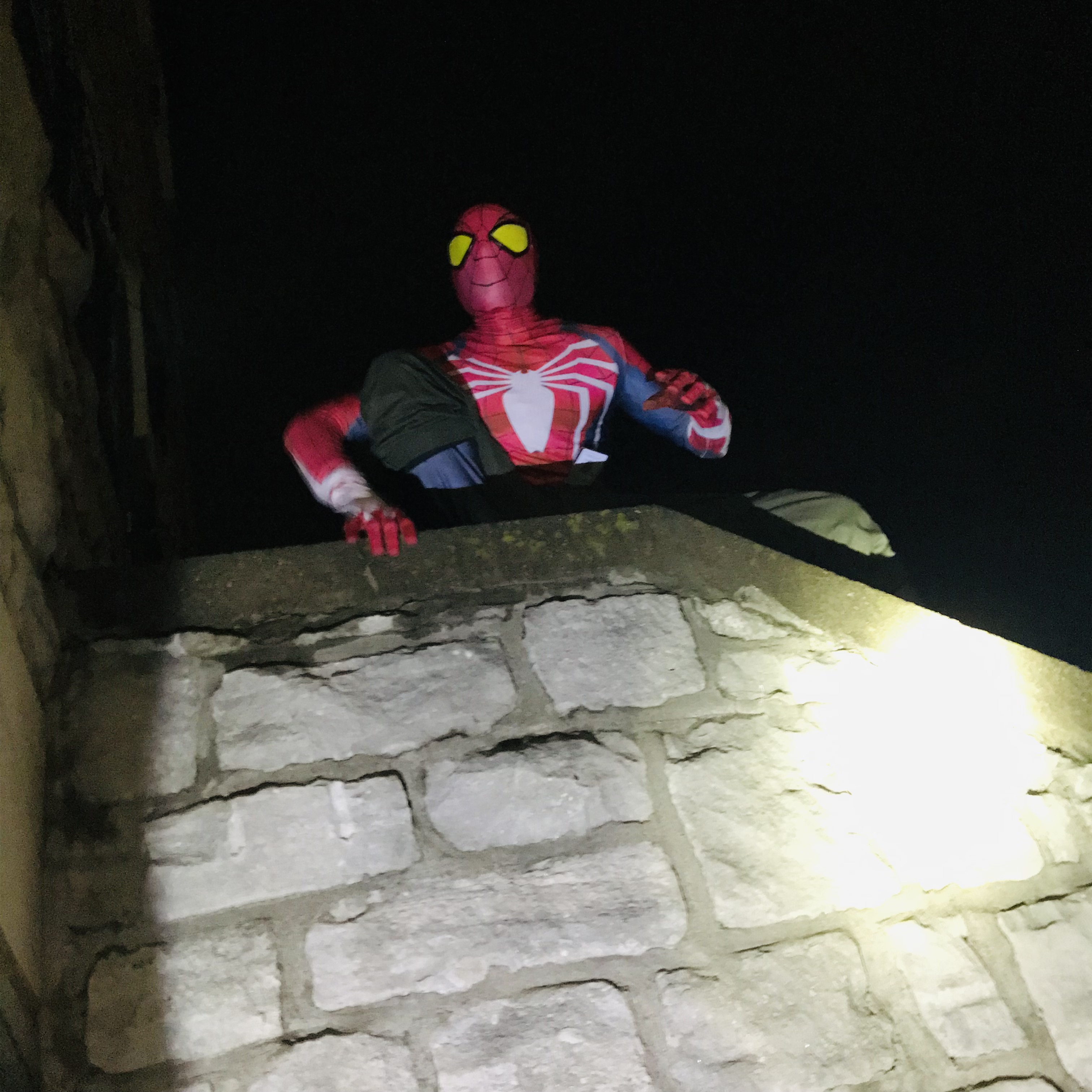 Paranormal Spiderman artwork