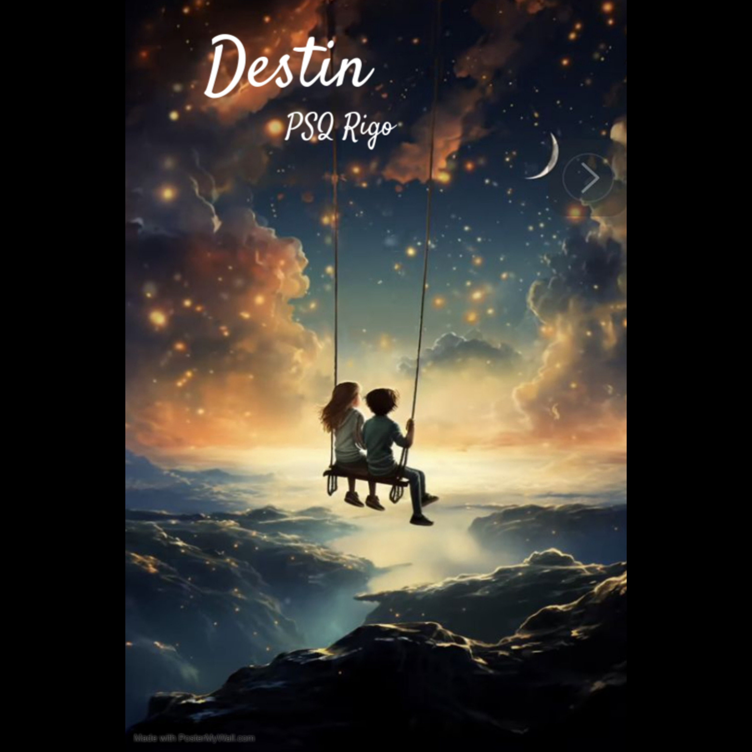 Destin by PSQ Rigo cover art