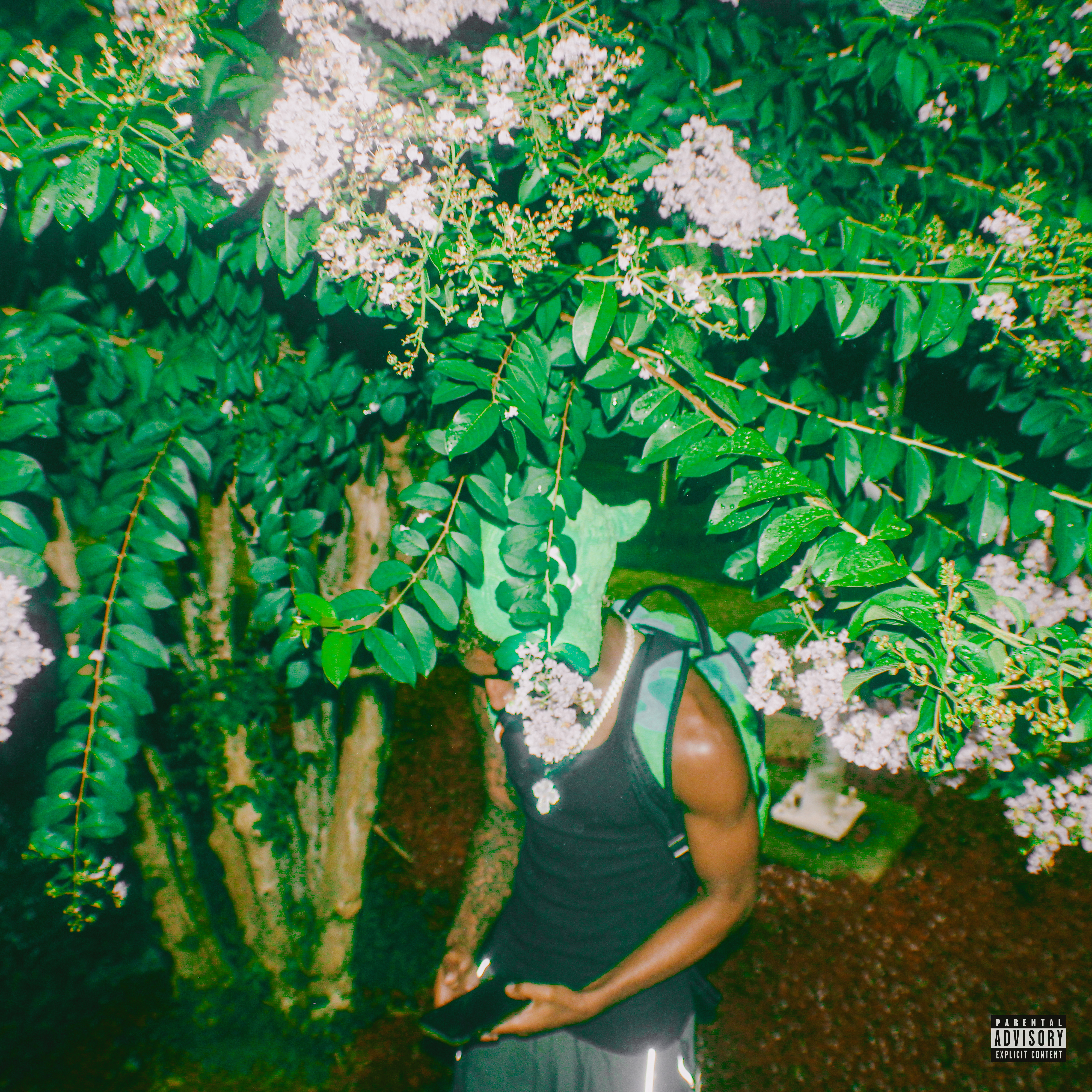 Jhames by Trajan cover art