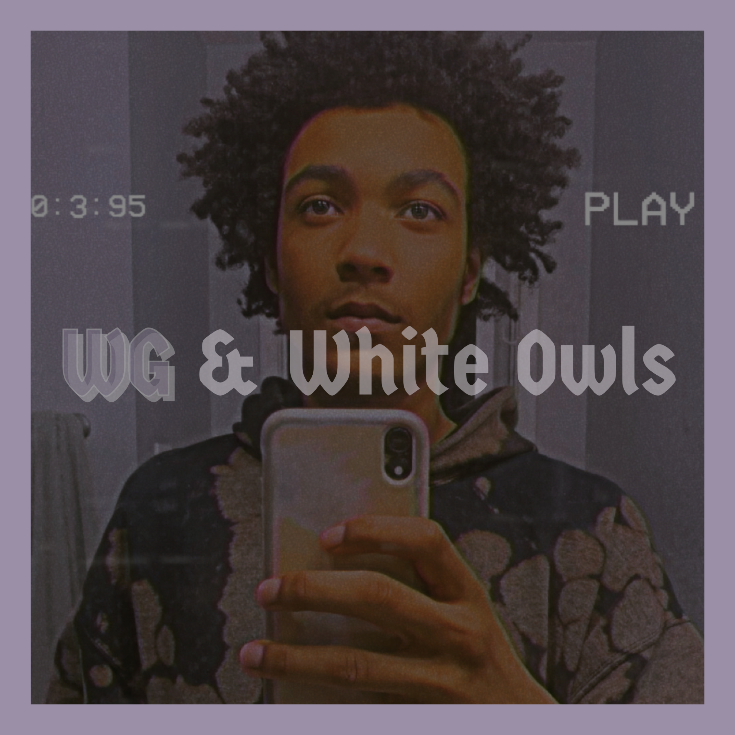 WG & White Owls artwork