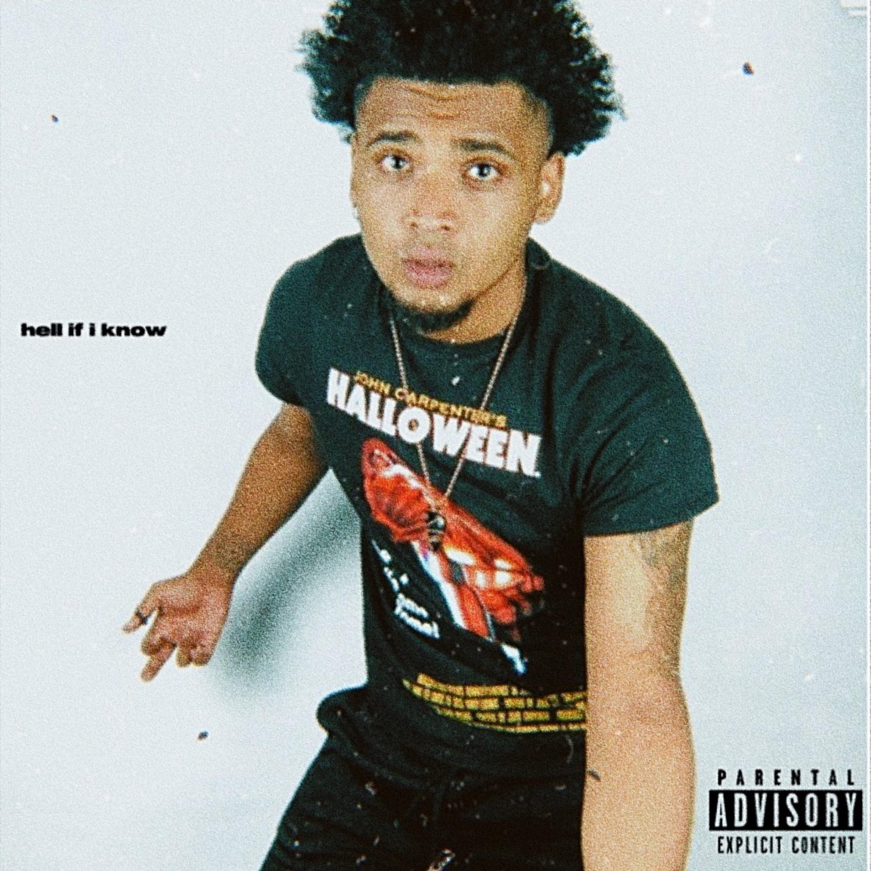 hell if i know artwork