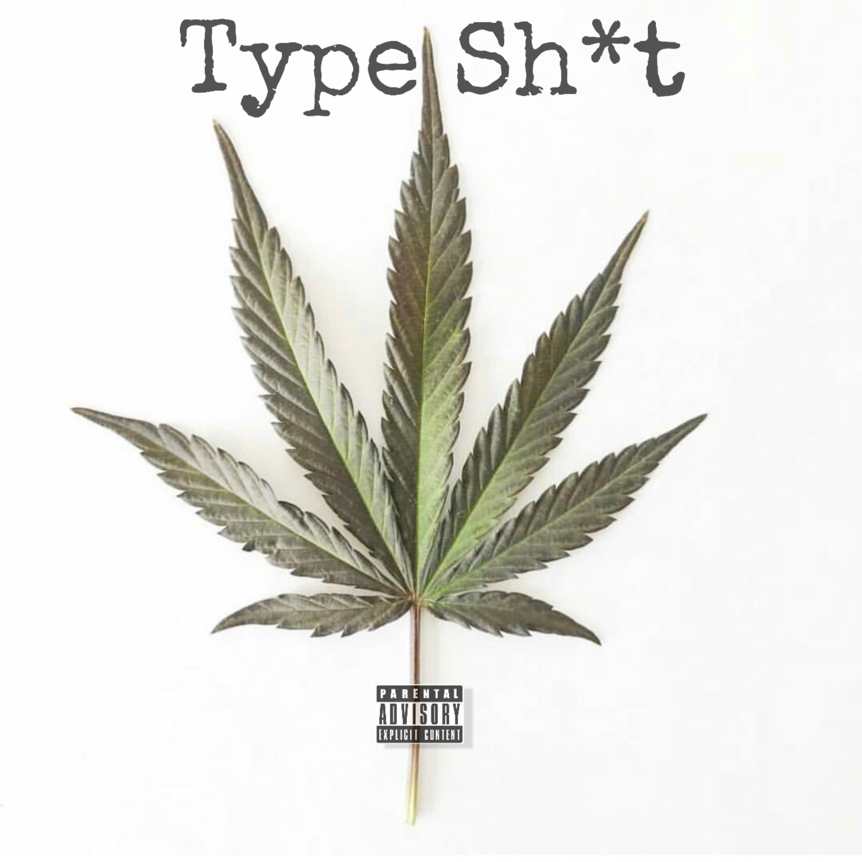 Type Shit by SauceRod cover art