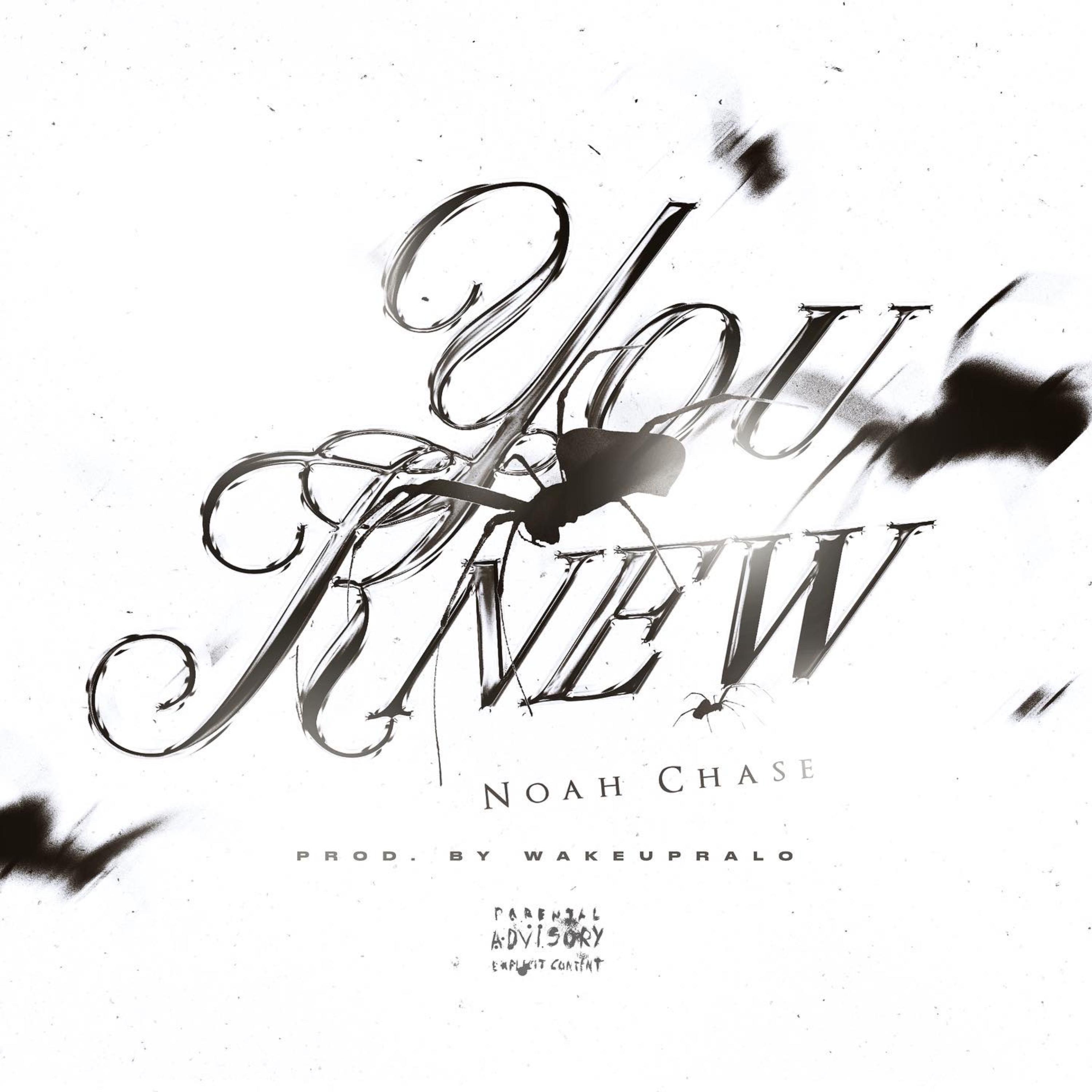 YOU KNEW artwork