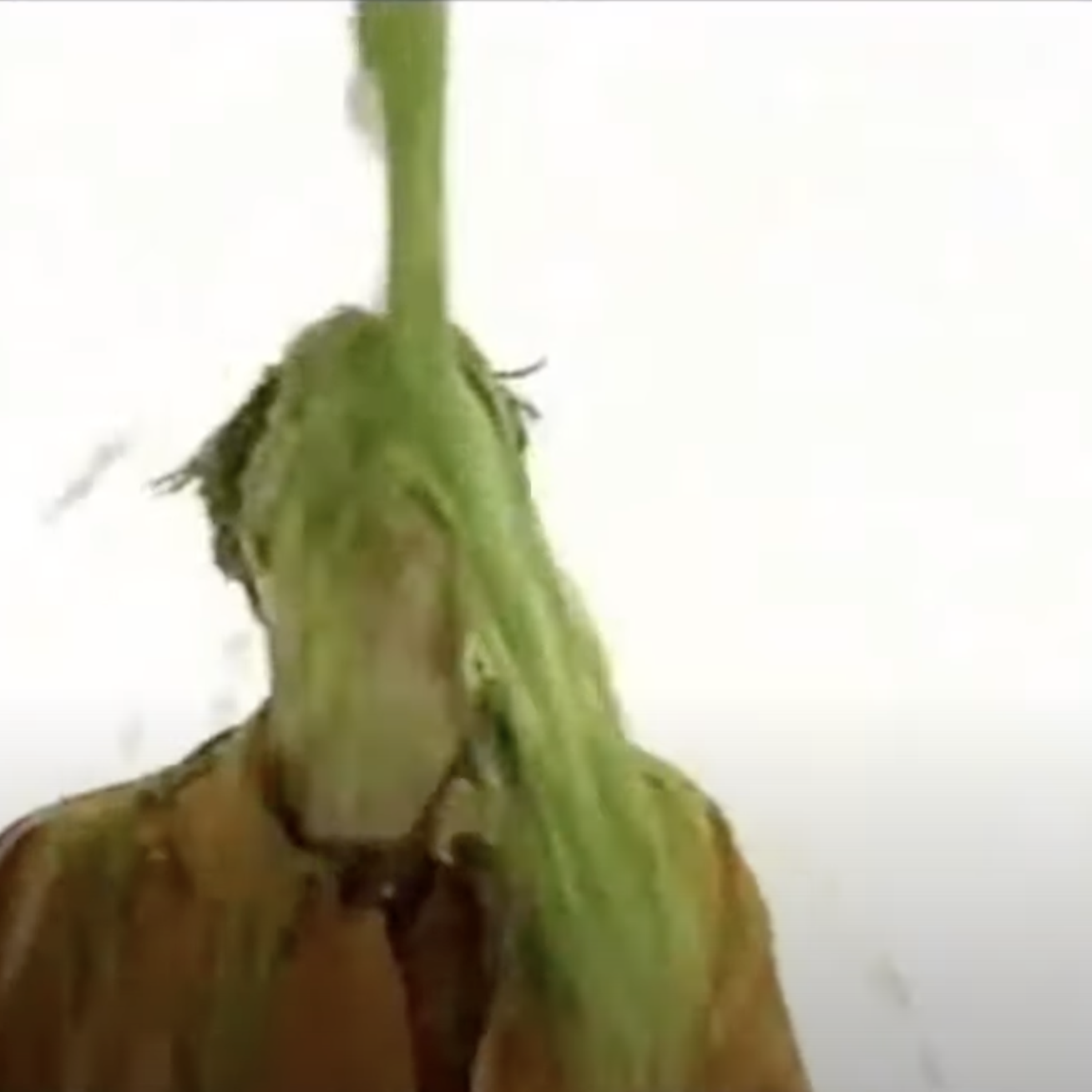 Slime Ya Manz artwork