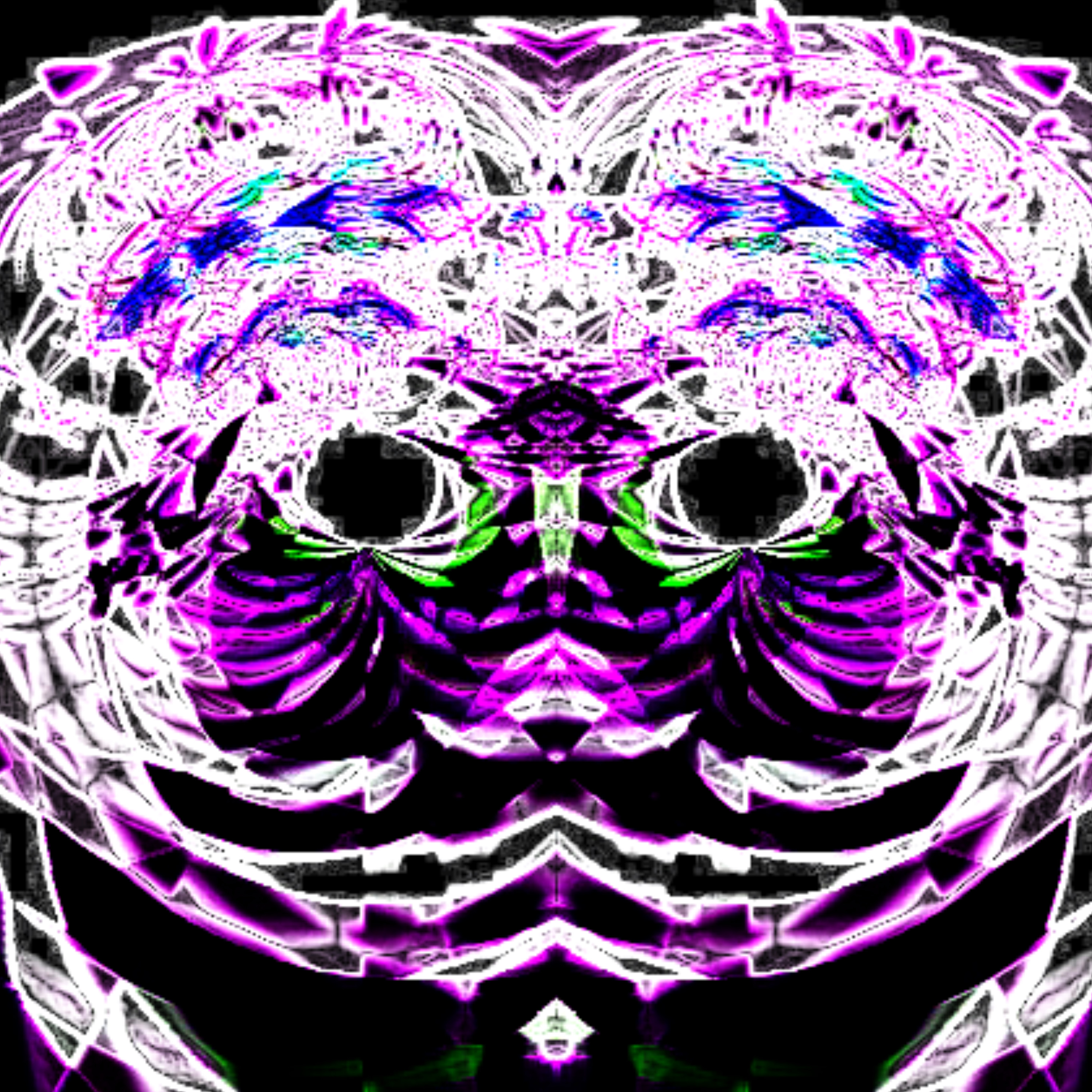 NATIVE OWL artwork