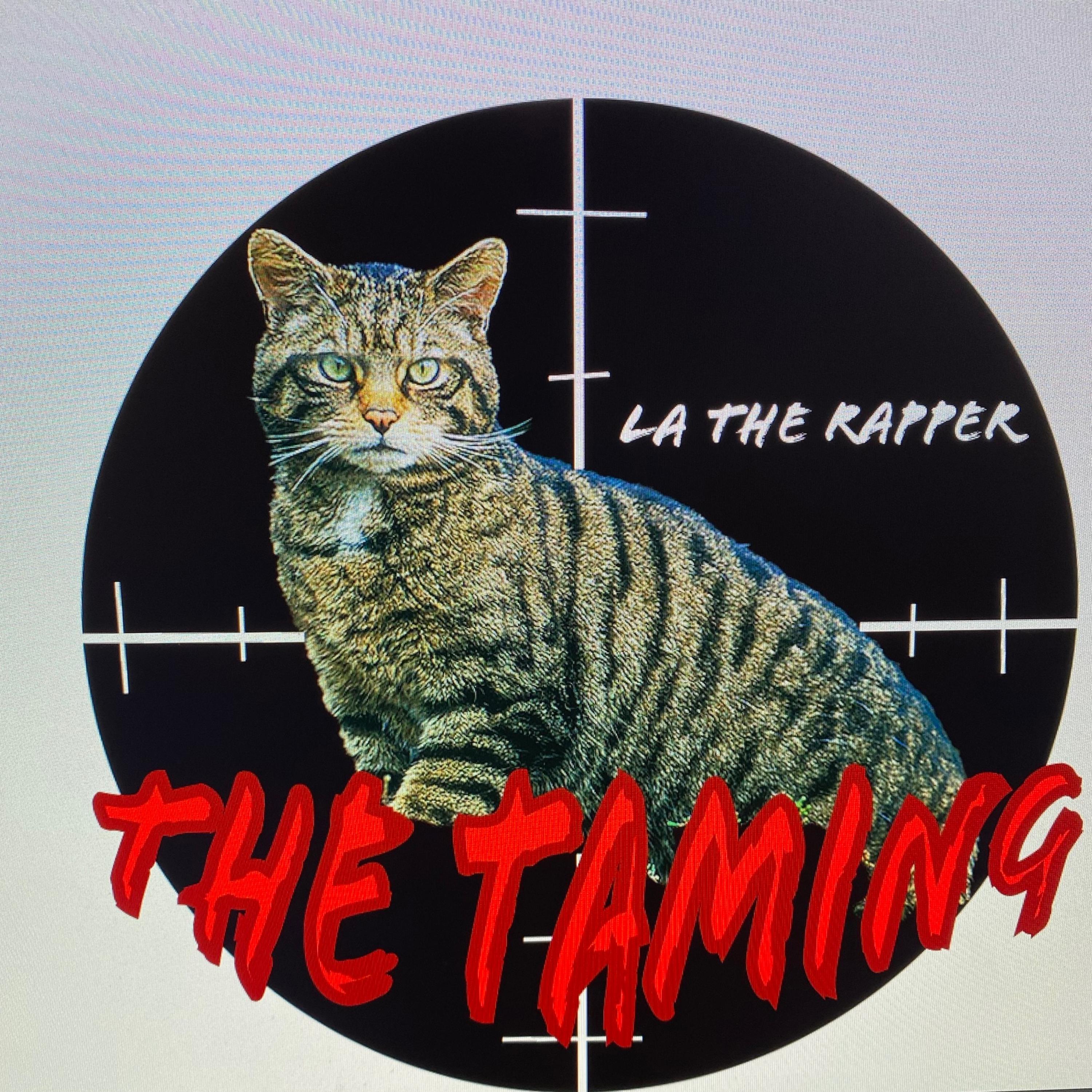 The Taming artwork