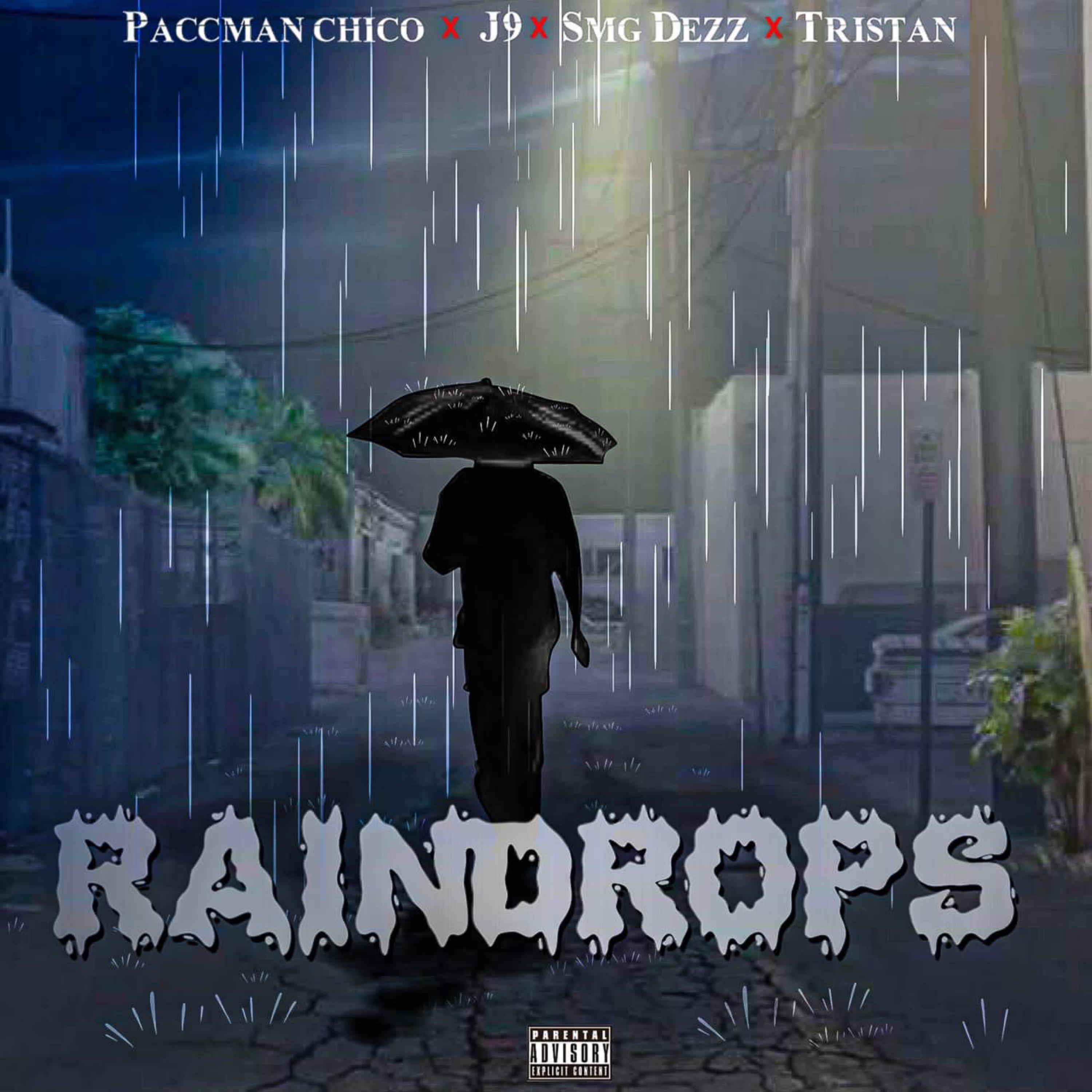 Raindrops artwork